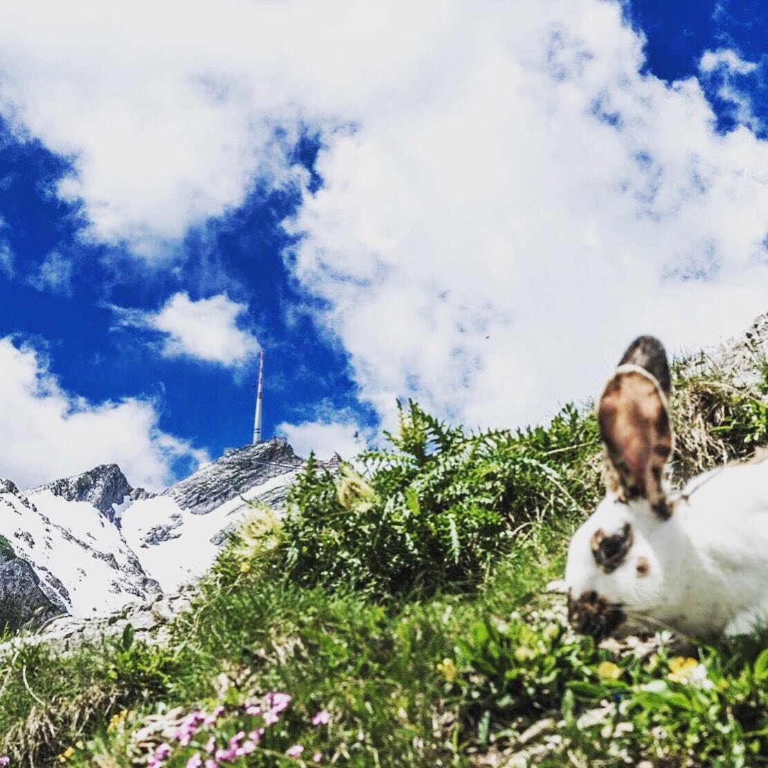 Osterferien schon gebucht? Wir haben noch freie Zimmer. 

Was auch immer passiert, bei uns sind Sie sicher!

Wir freuen uns auf Sie! 🥰🥰

#osterferien #toggenburg #toggenburgtourismus #schwendiloge #beiunssindsiesicher