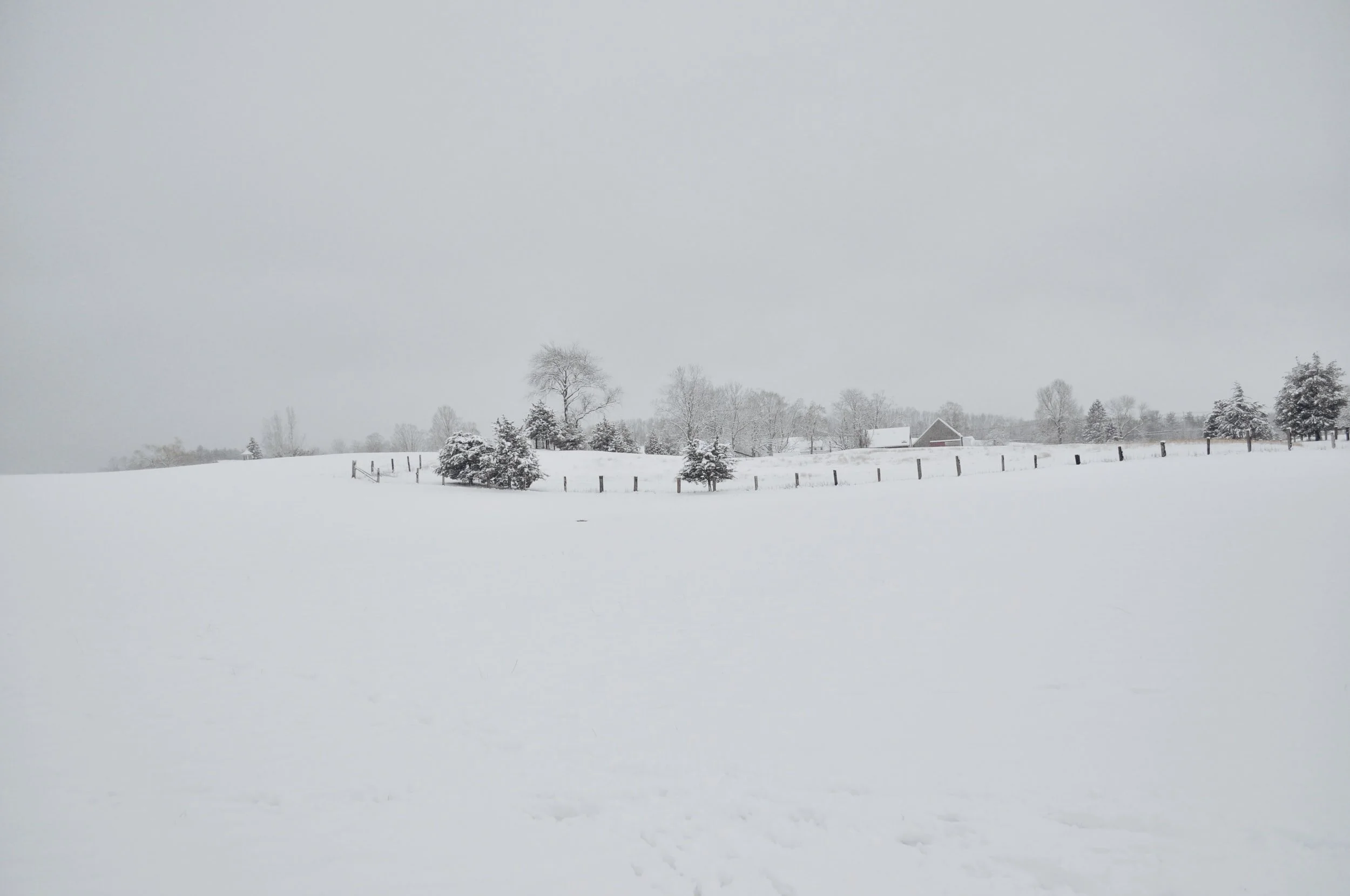 Join the Be Well Farming Project’s Winter Workshop Series 