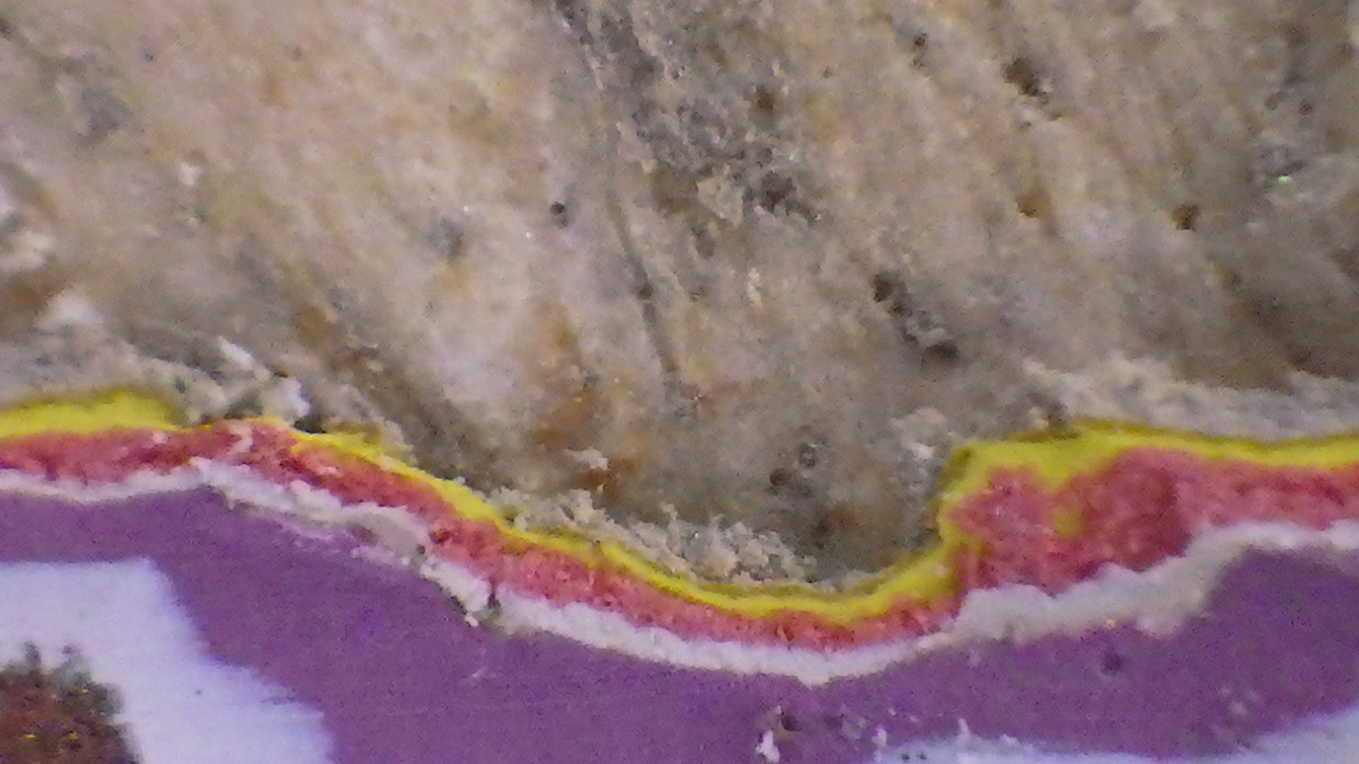 Close-up of paint &amp; finish layers