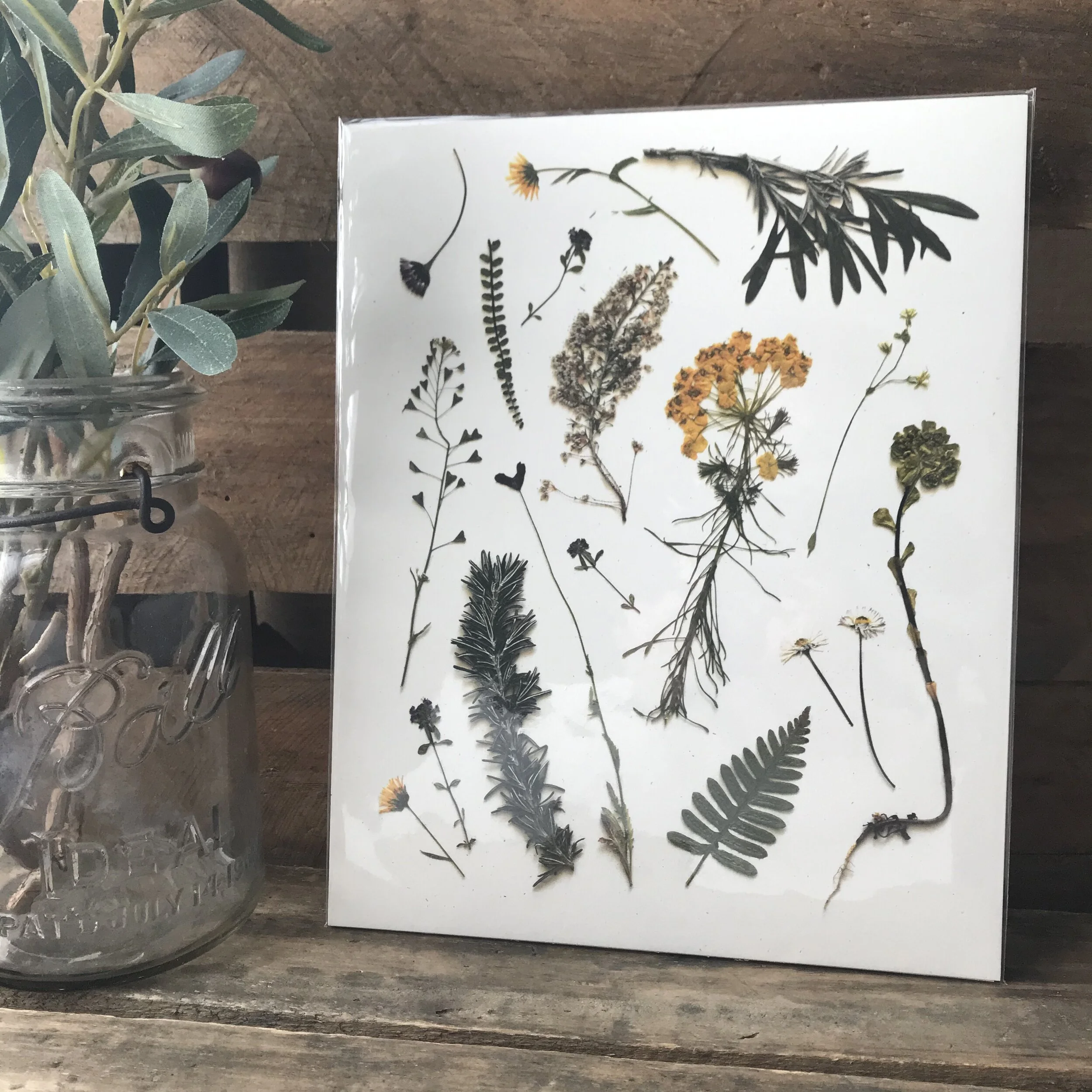 Pressed Olive Grove Pretties Art Print