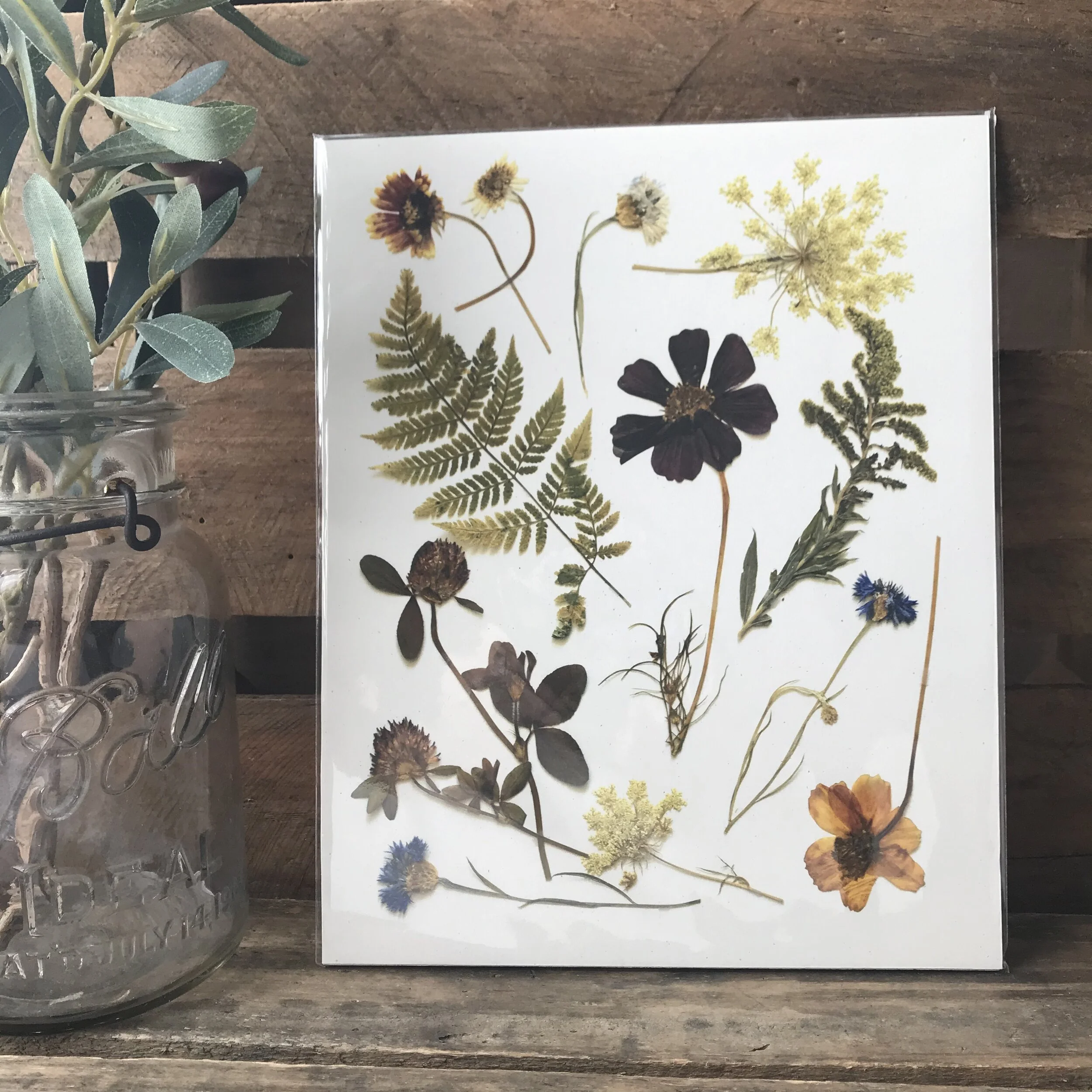 Pressed Wildflowers Art Print