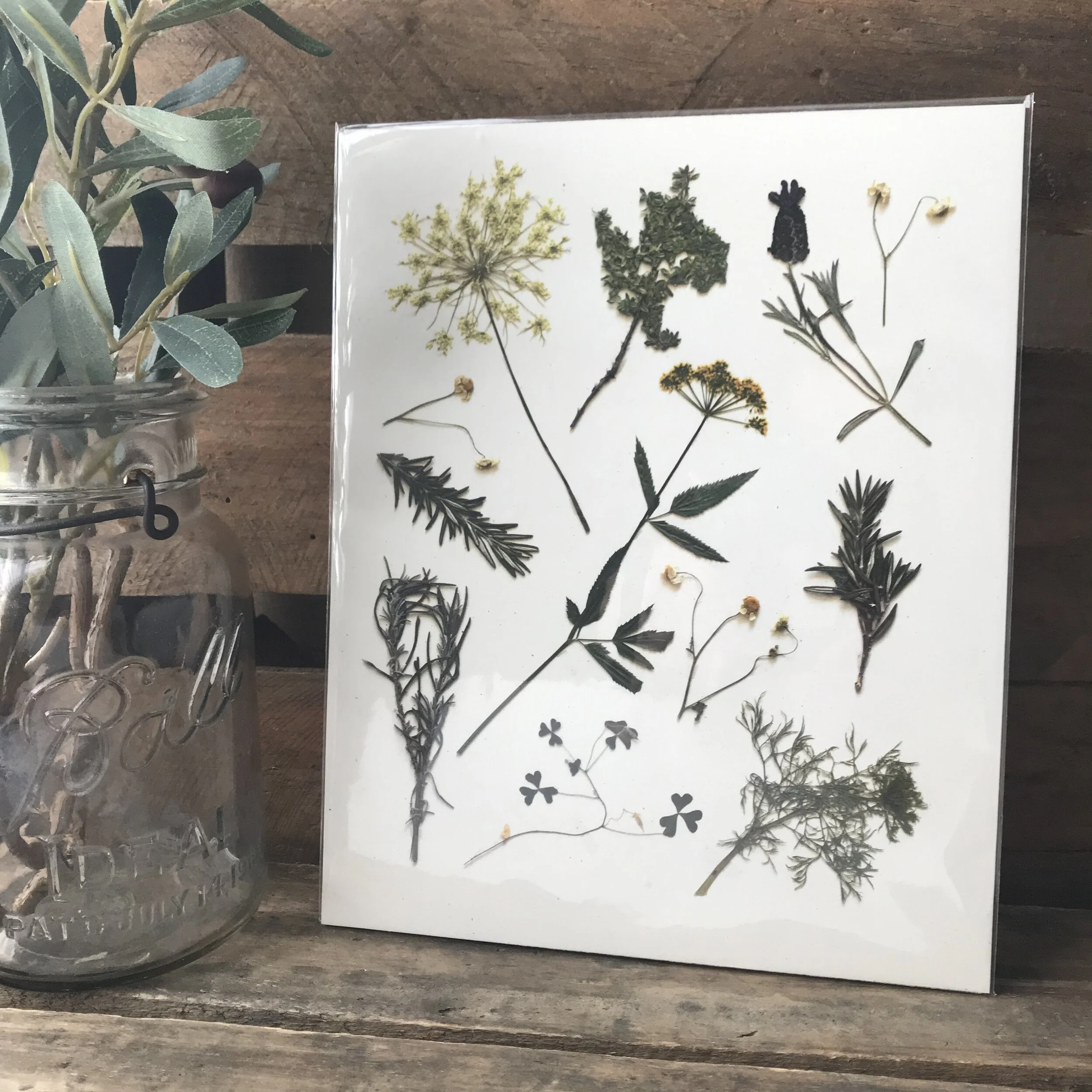 Pressed Herb Sprigs Art Print