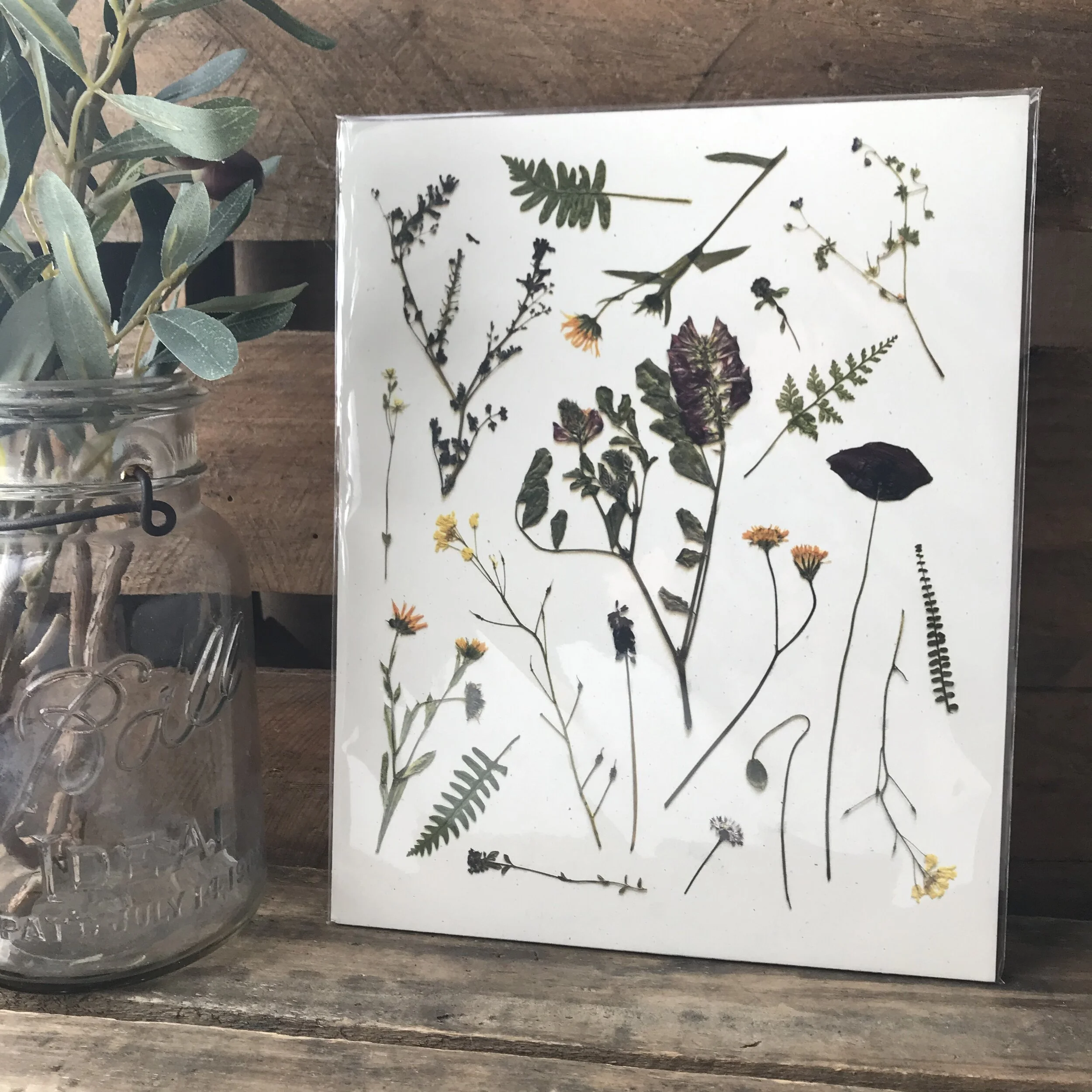 Pressed Tuscan Wildflowers Art Print