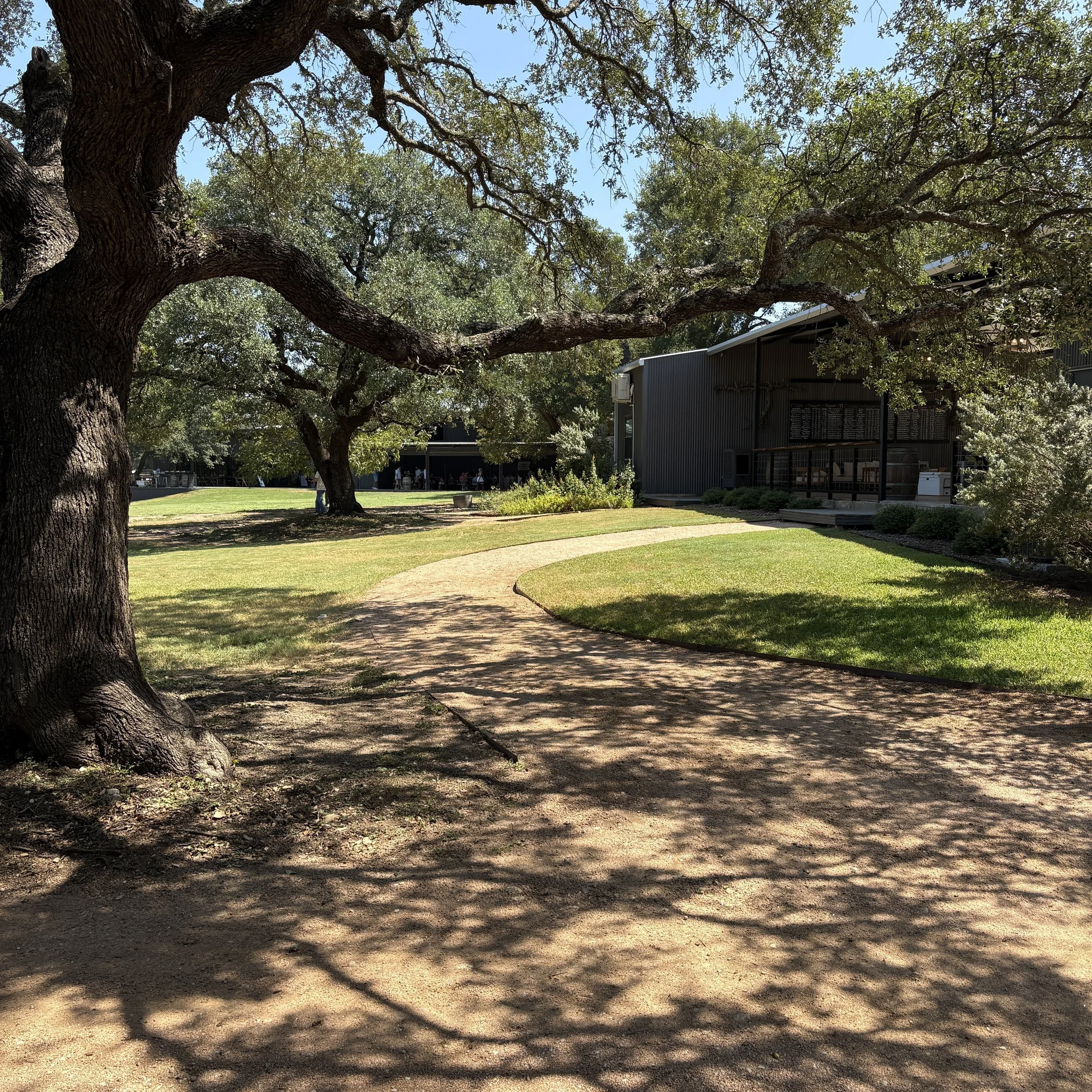 Chasing Shade