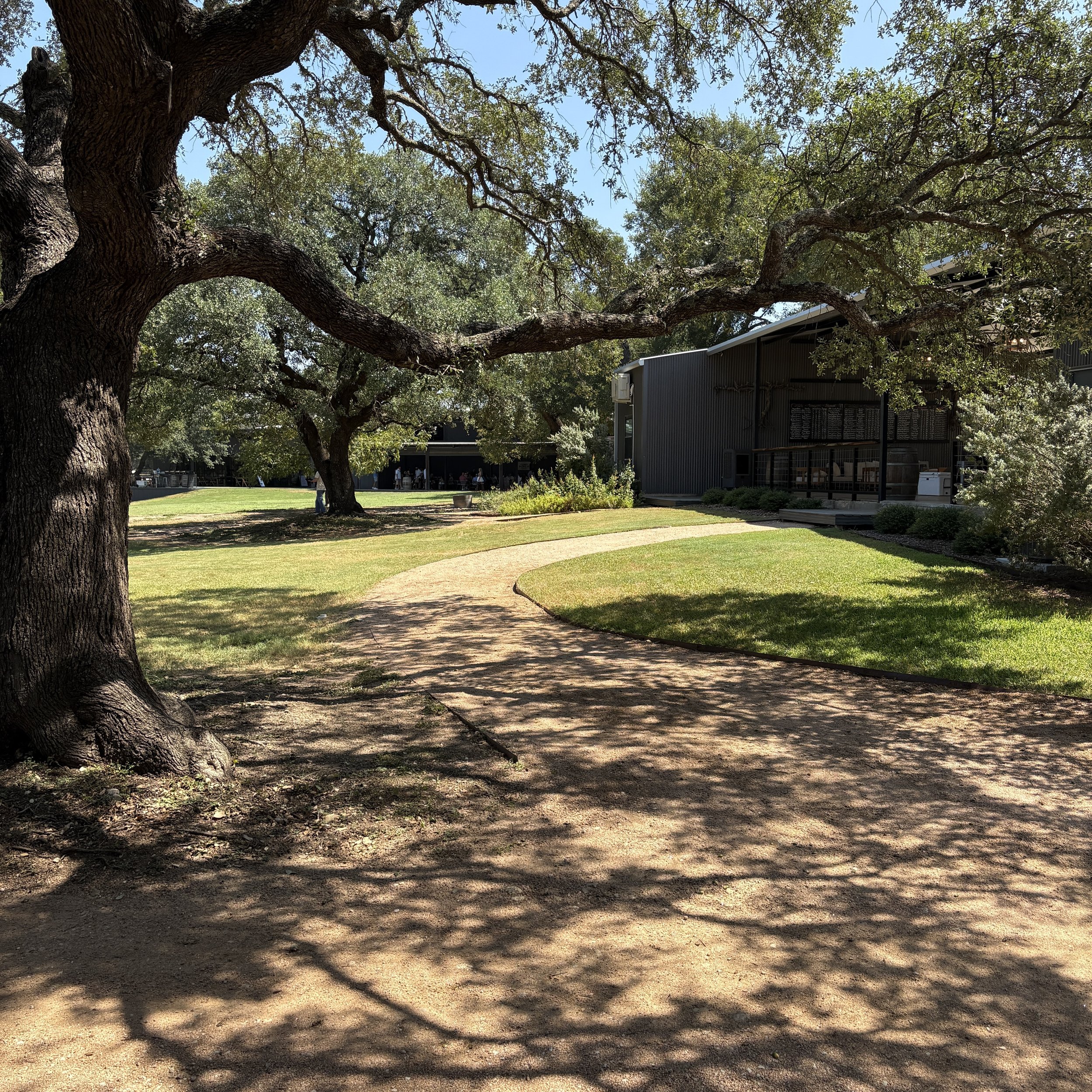 Chasing Shade Path