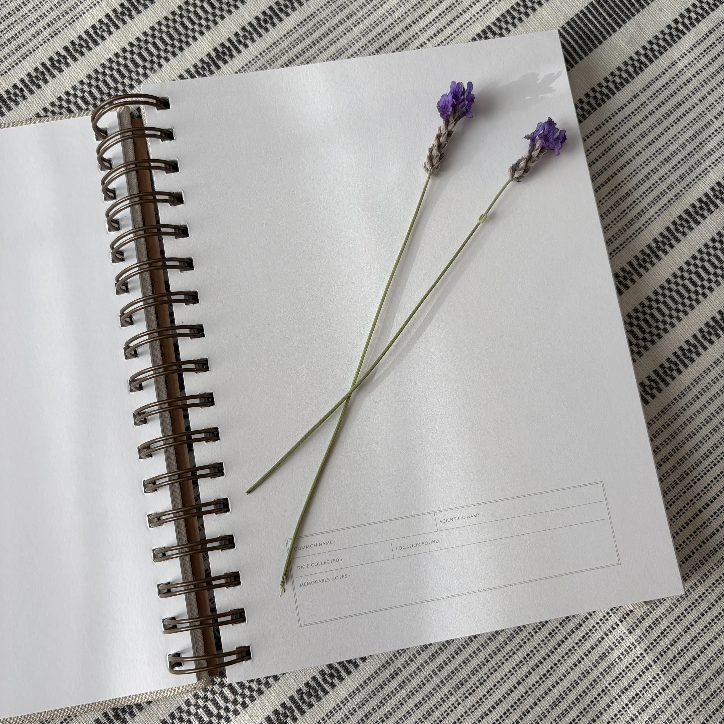 Herbarium Journal and Lavender Sprigs