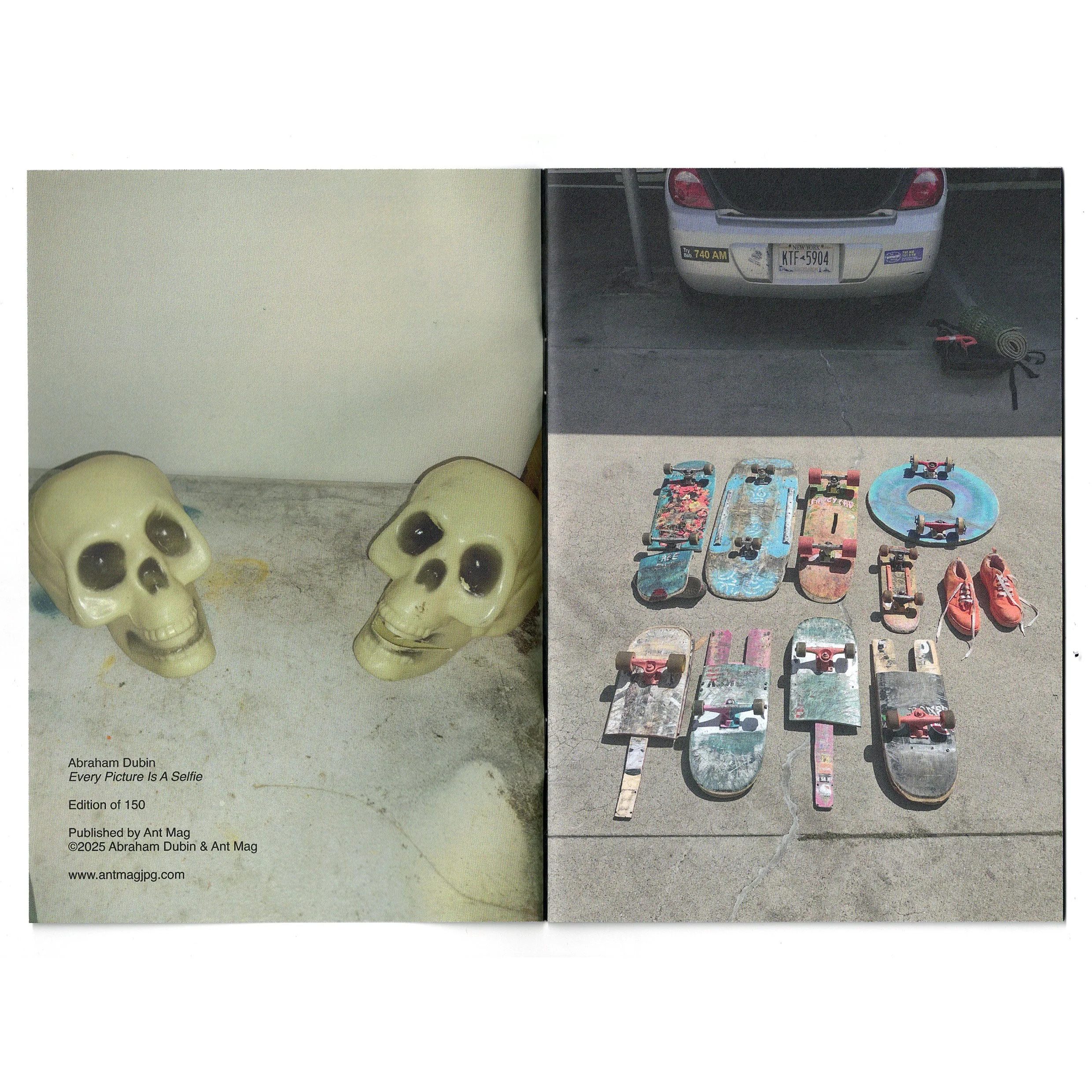 skulss and boards.jpg