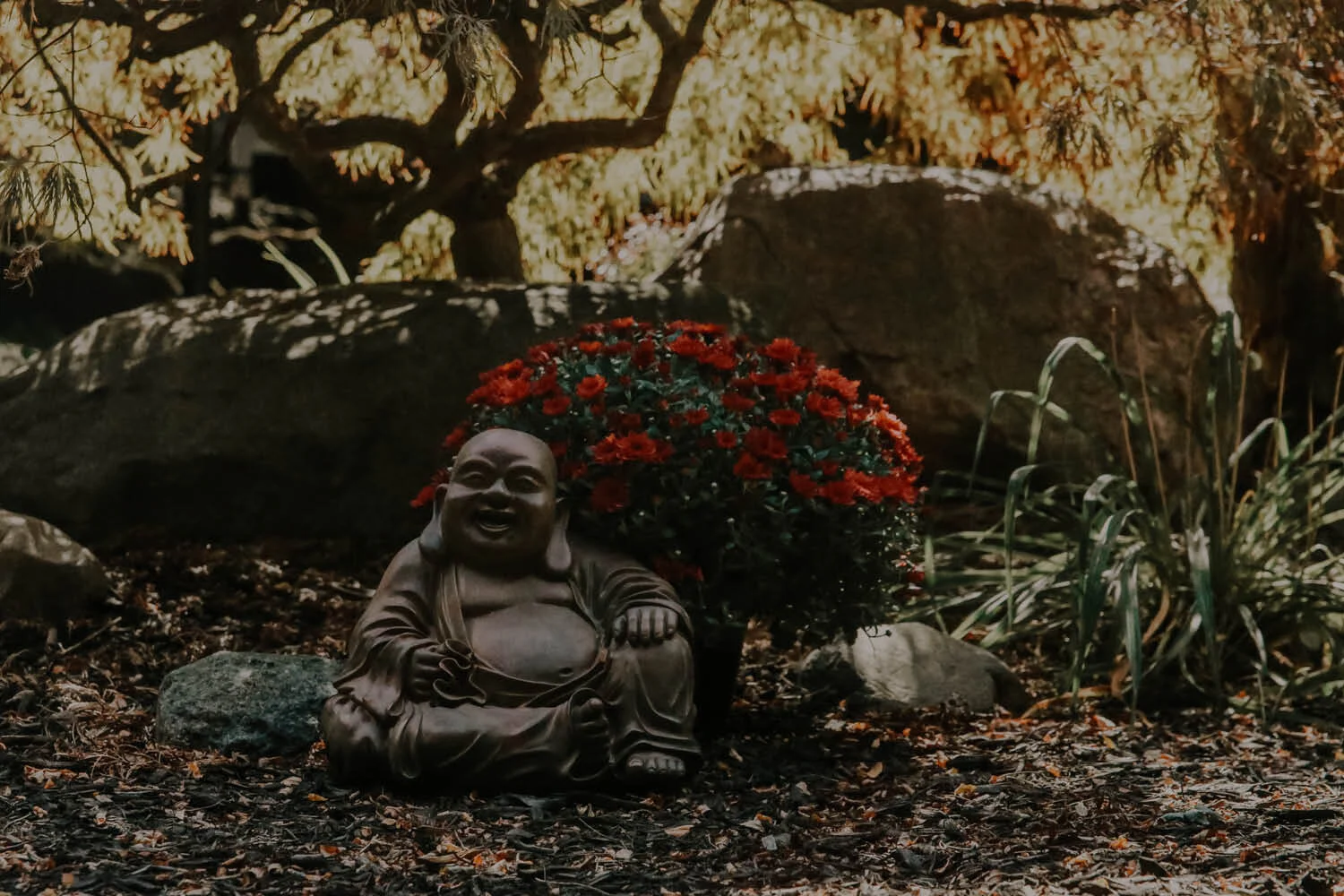 garden overlay.jpg