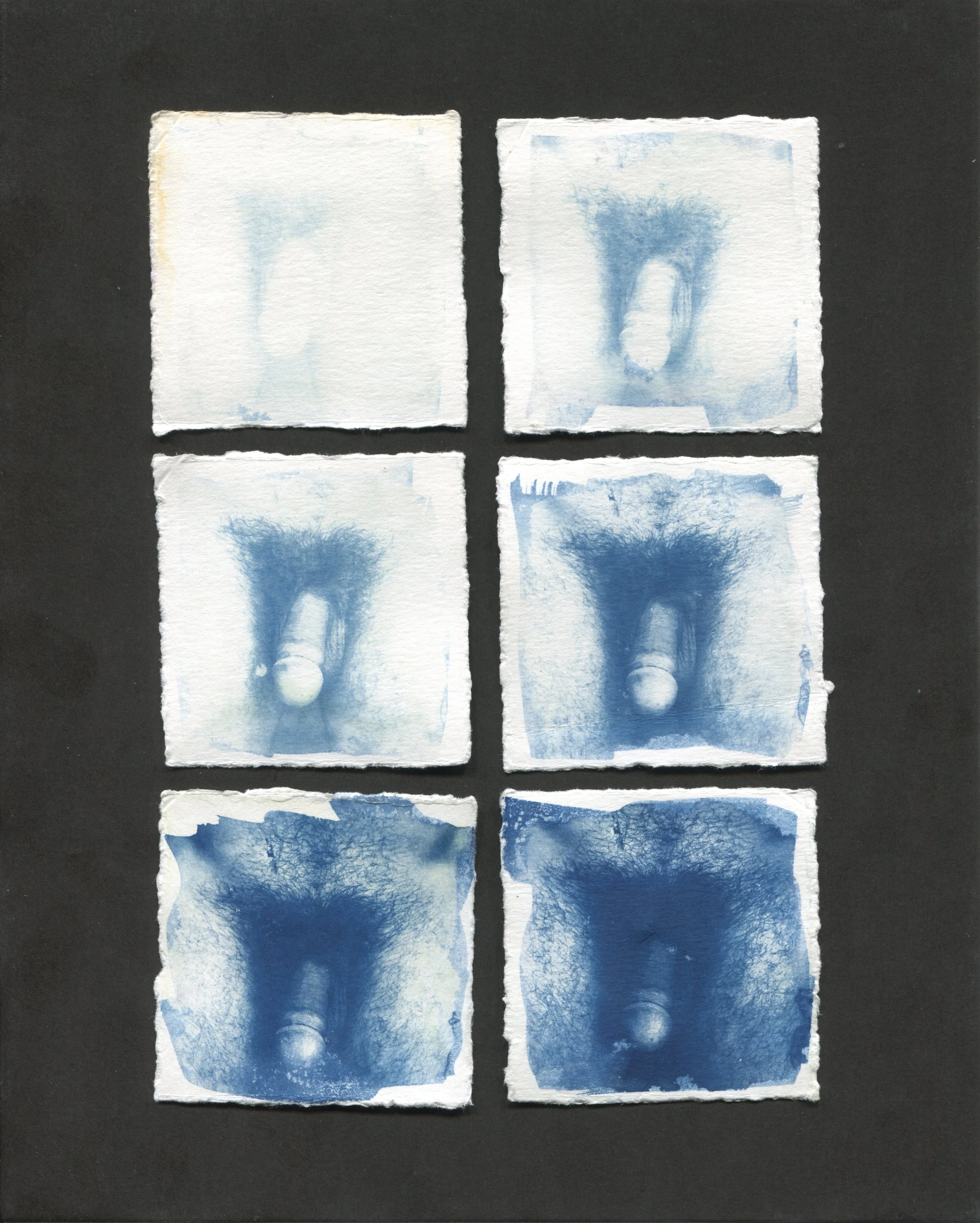 Recent Cyanotypes