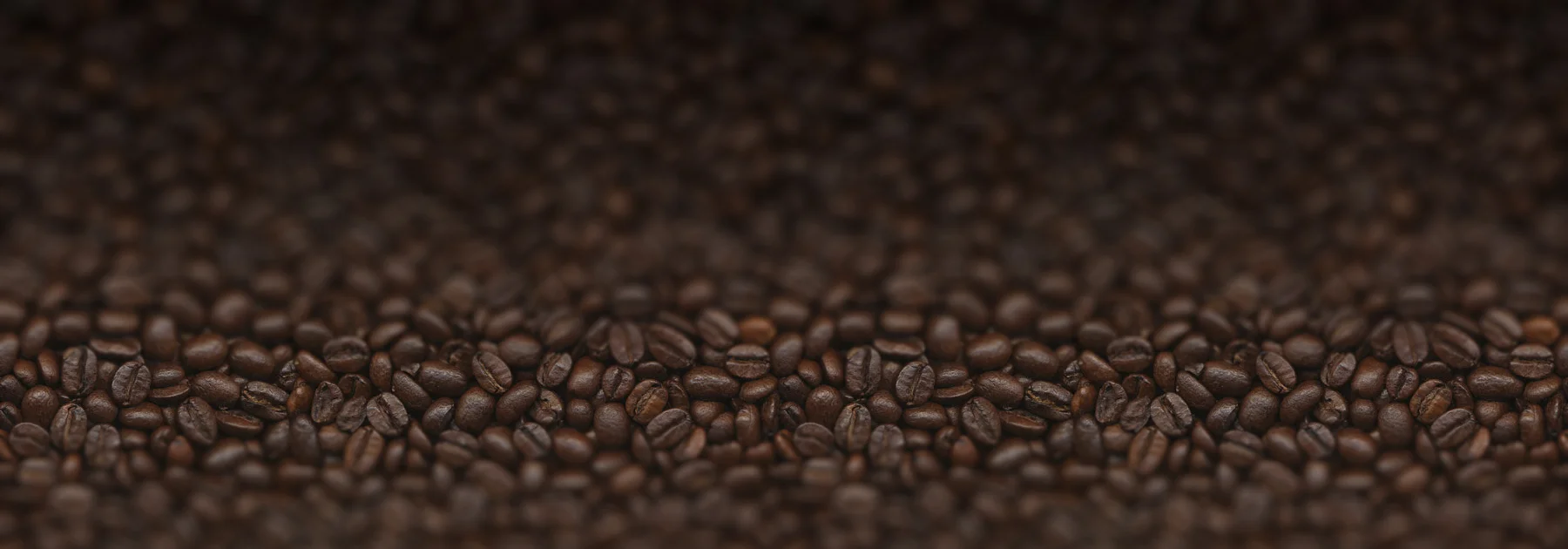 fzm-coffee.beans.texture-01[900x900].jpg