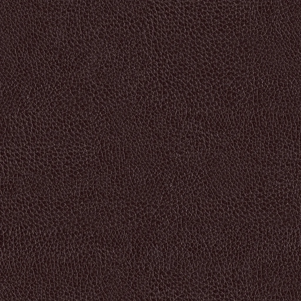 TexturesCom_Leather0100_1_seamless_S.jpg