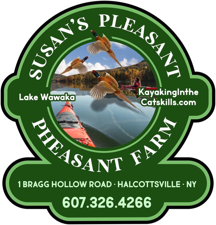 Susan’s Pleasant Pheasant Farm