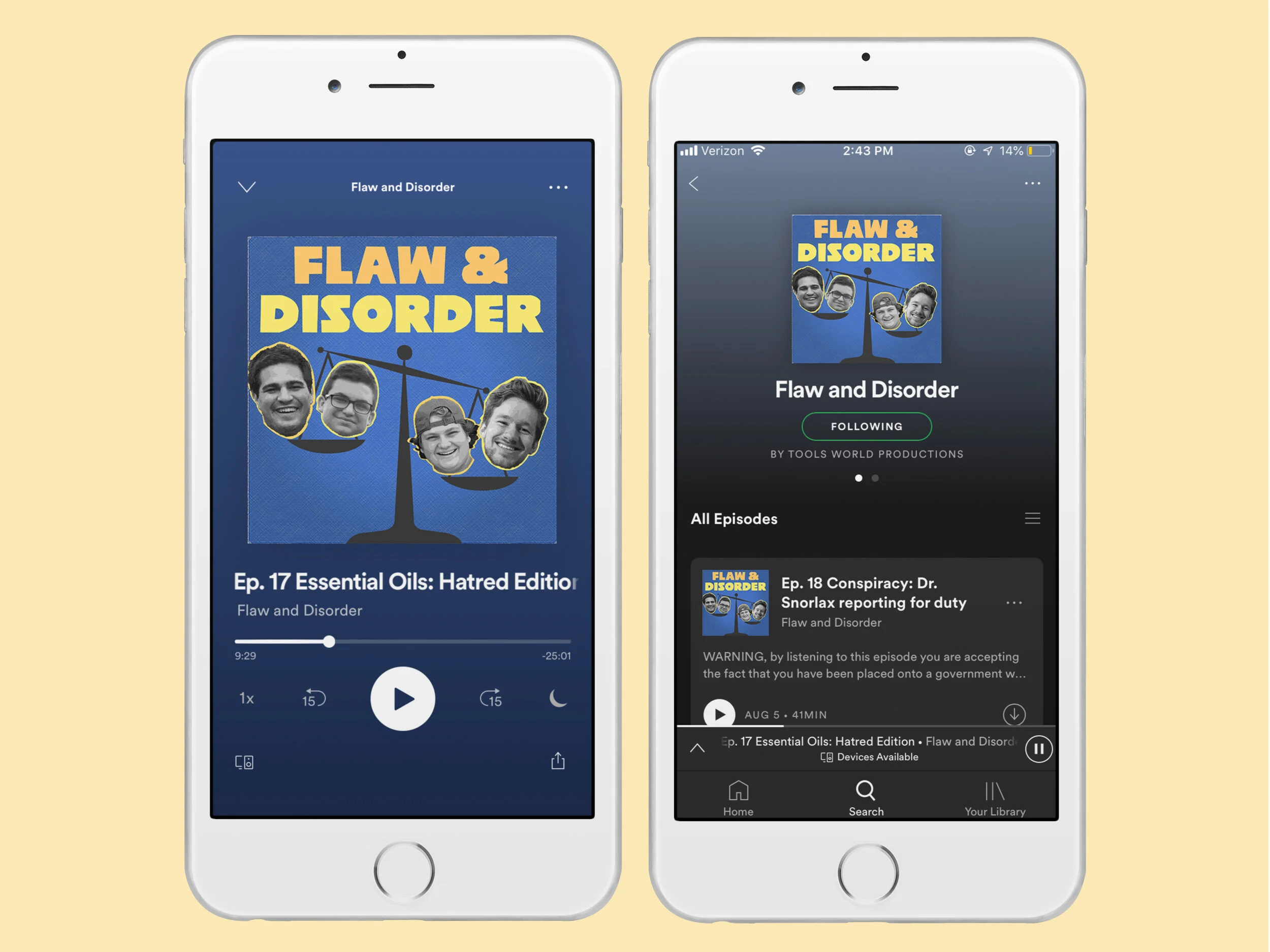 Flaw and Disorder Mockup.jpg