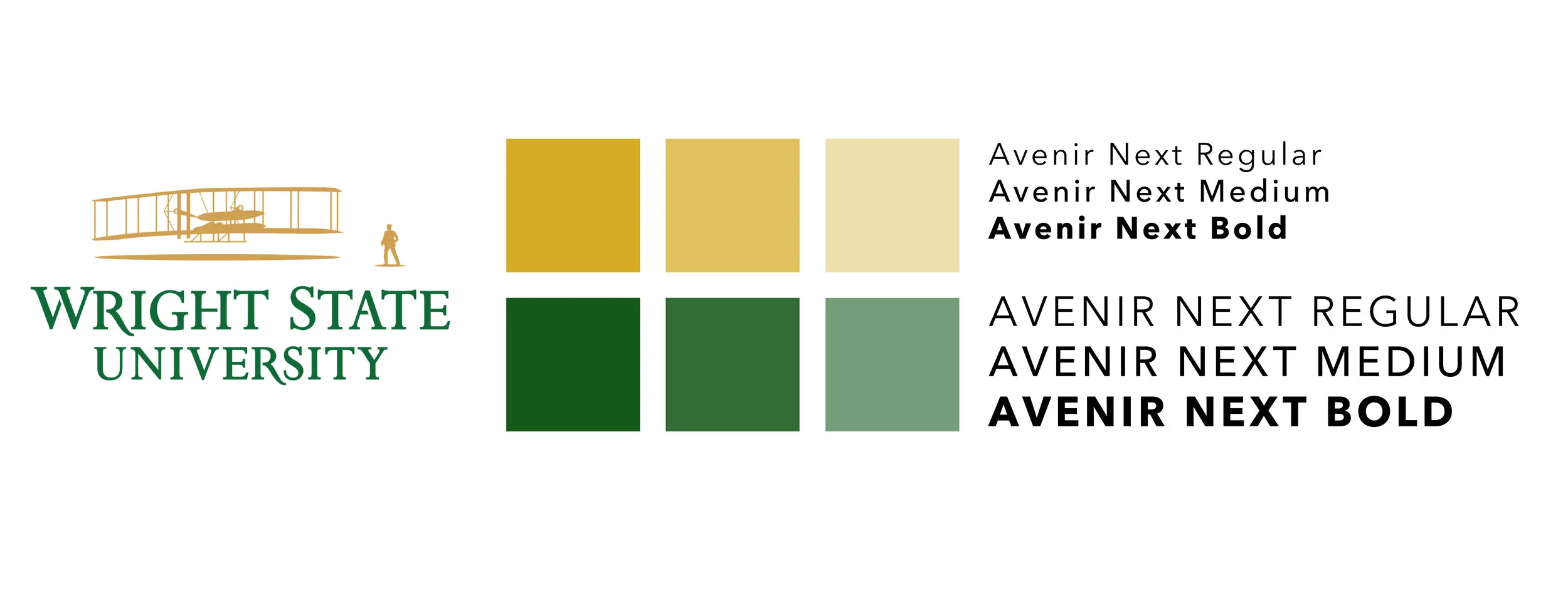 Colors were drawn from the official Wright State logo.