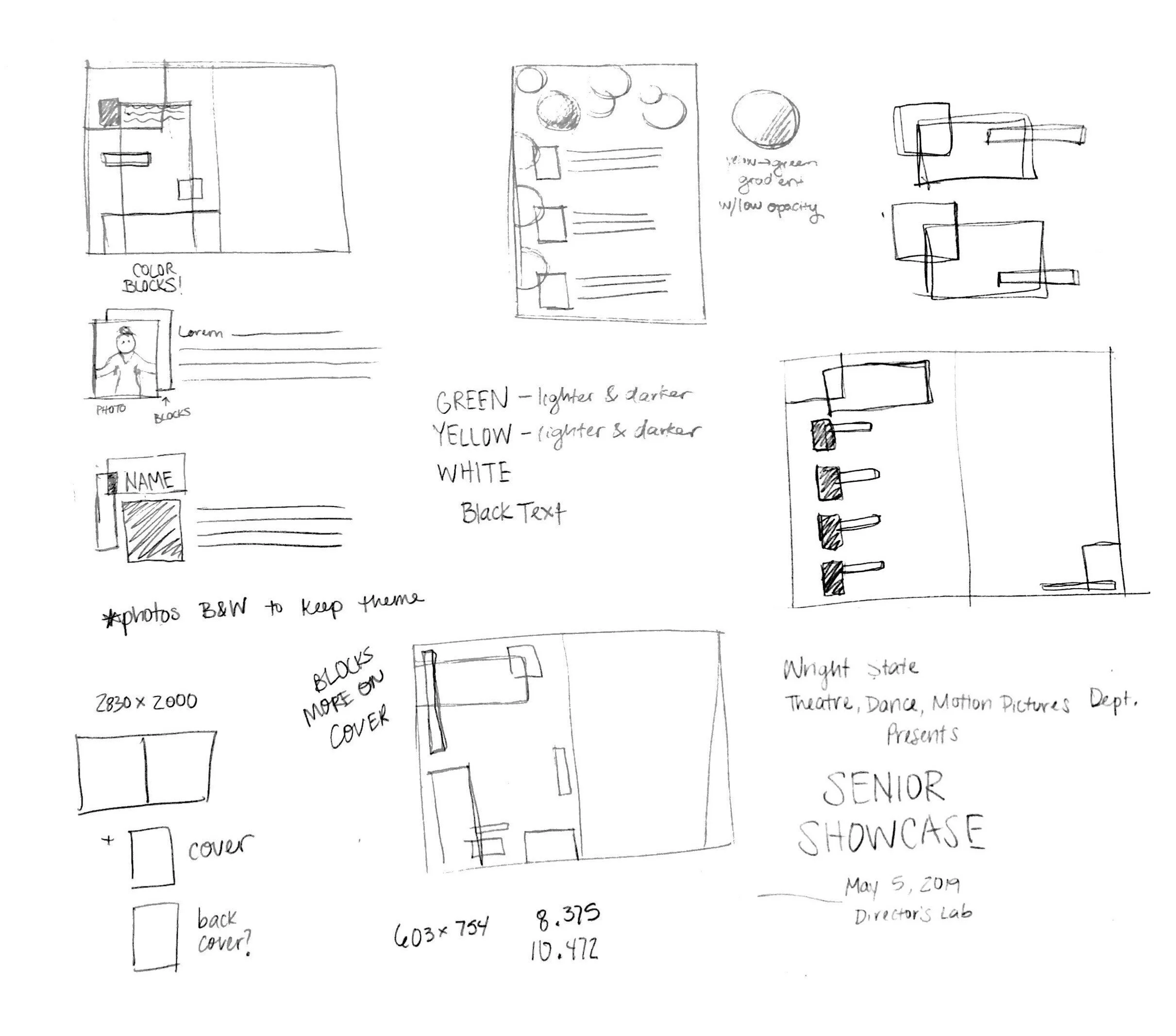 process for program.jpg