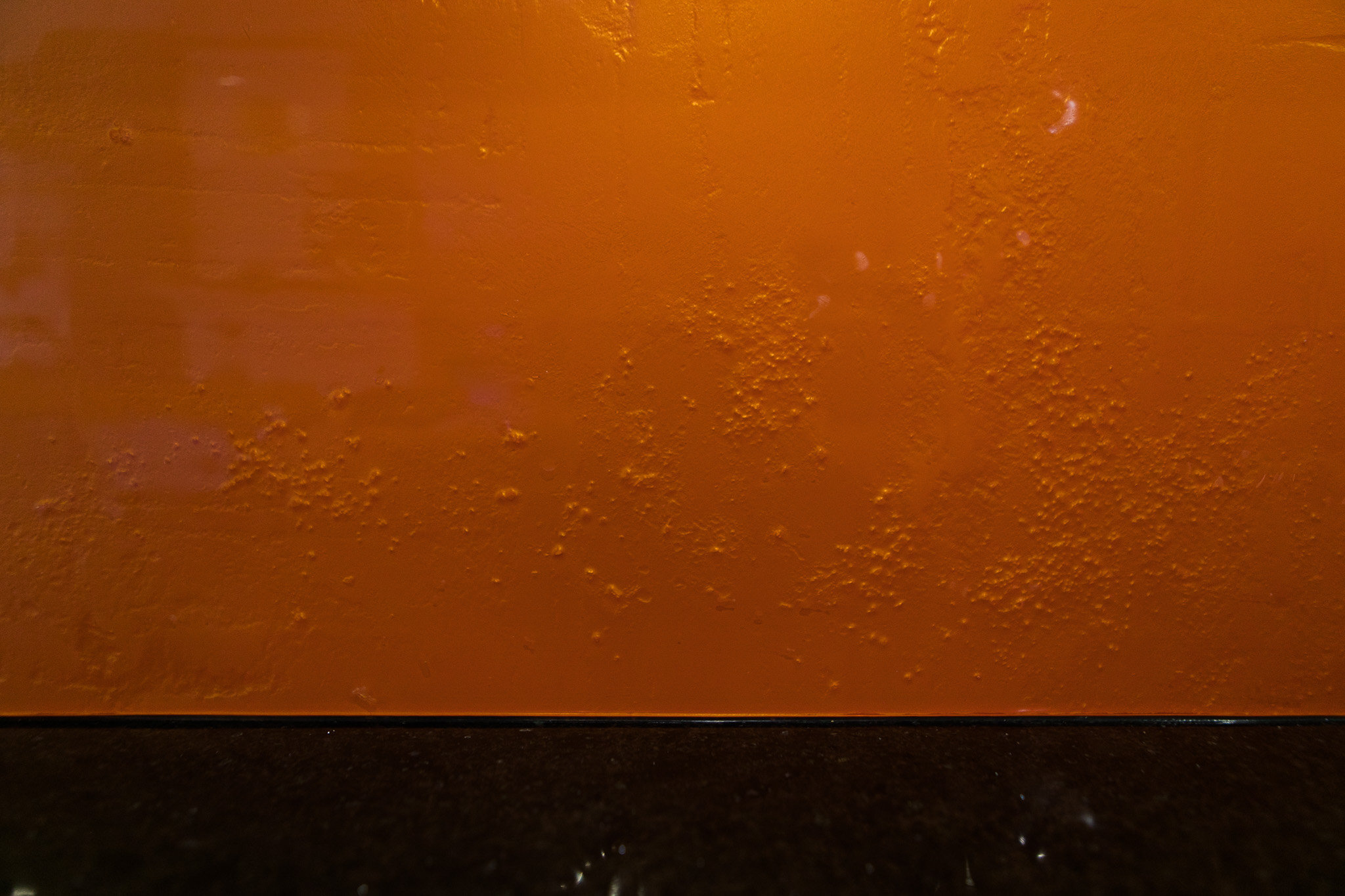 WEB-0043.jpg
