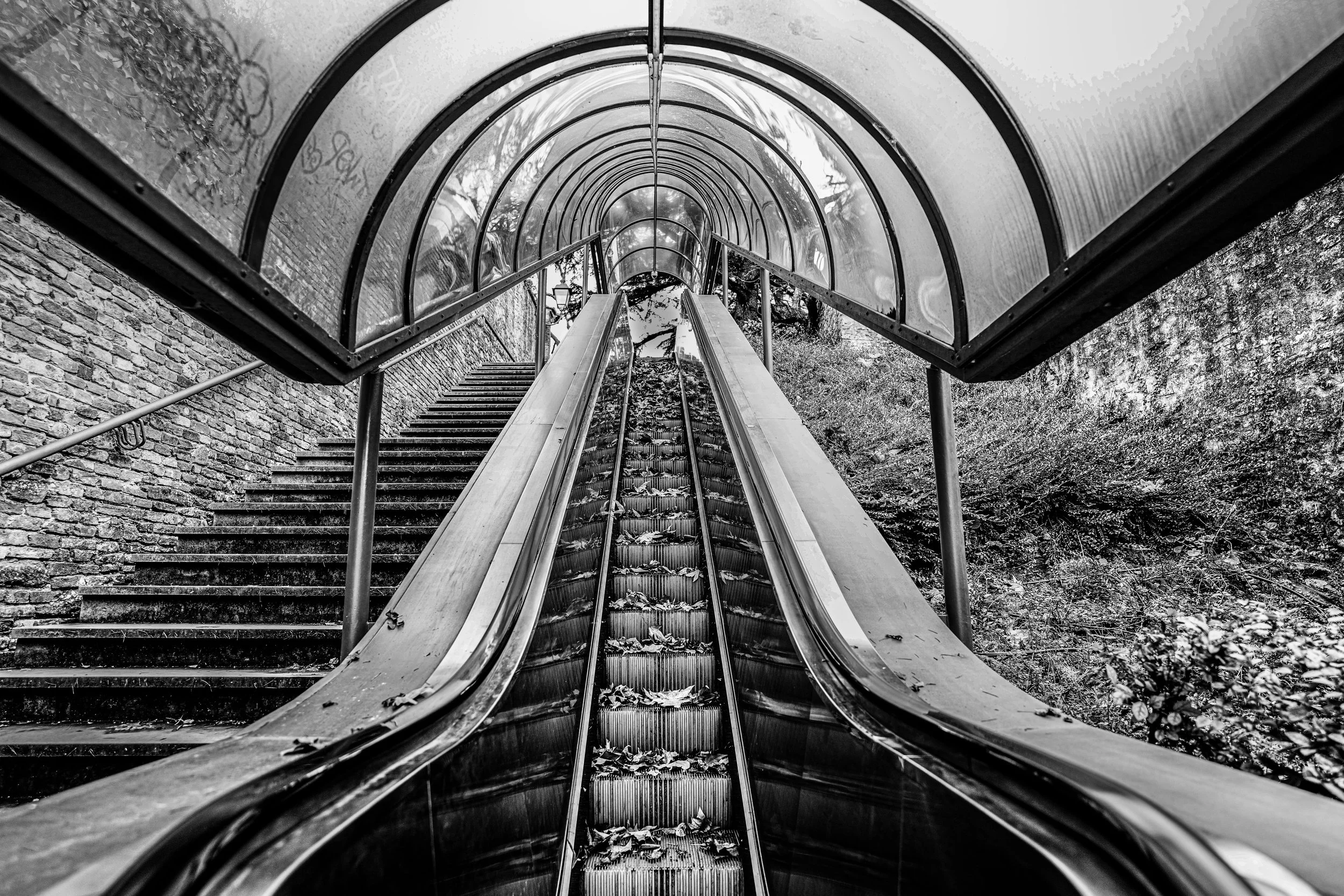 Città di Castello: A silent journey upwards, where time leaves only fallen leaves behind.