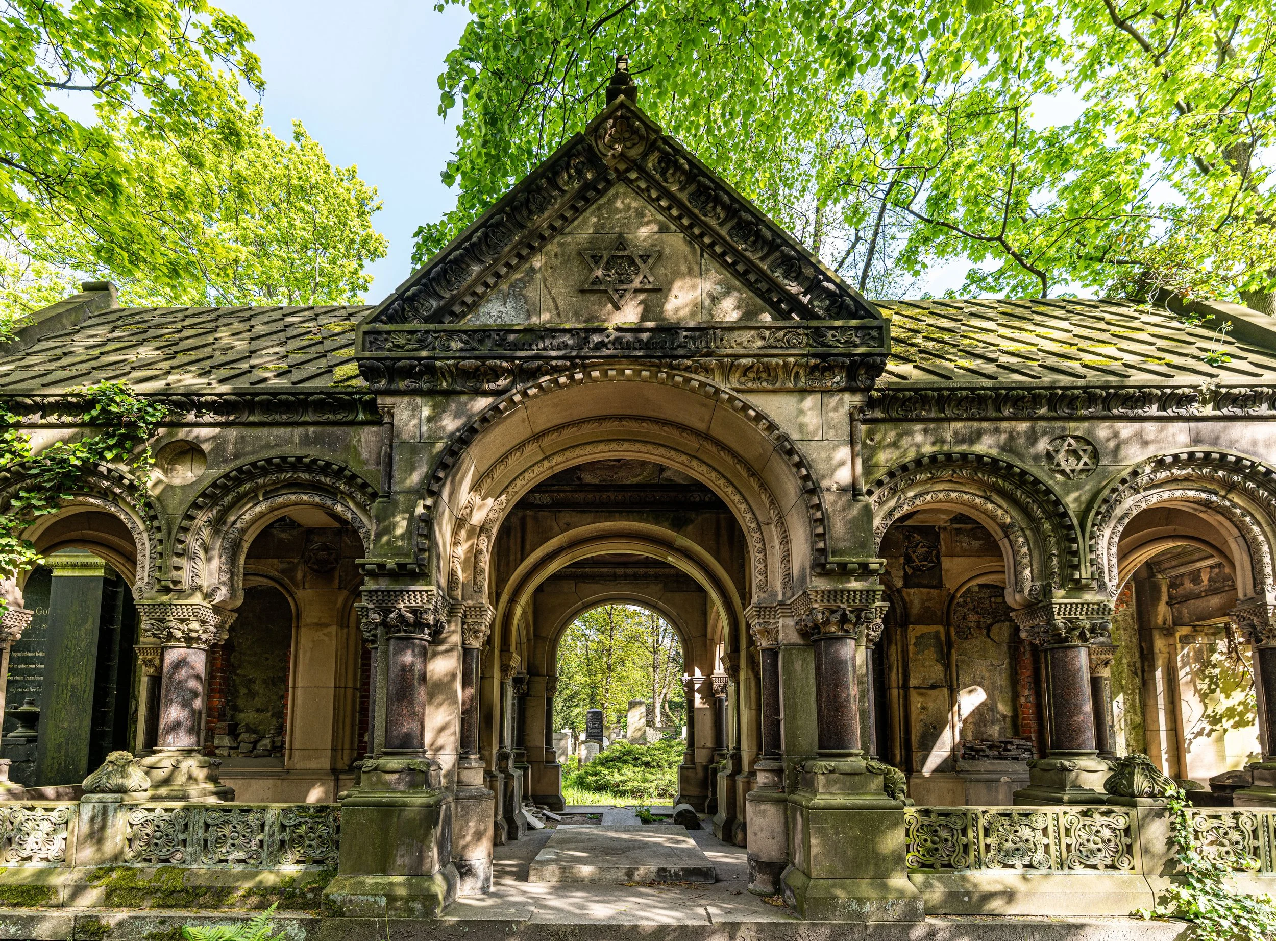 Wrocław: Light filters through leaves and ruins, tracing the echoes of forgotten lives.