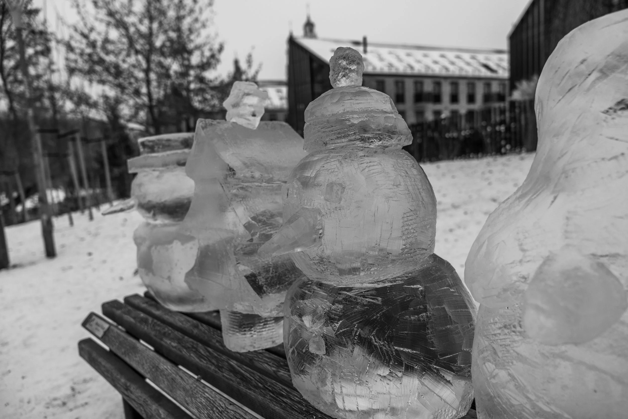 Vilnius – Transient sentinels in frost, they endure only as long as cold permits.