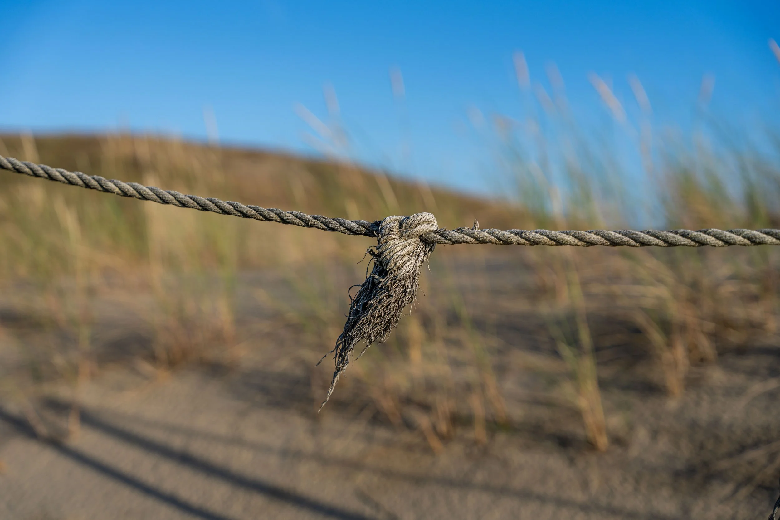 Neringa – Frayed fibers hold stories of sea and silence, where sand and wind endlessly converse.
