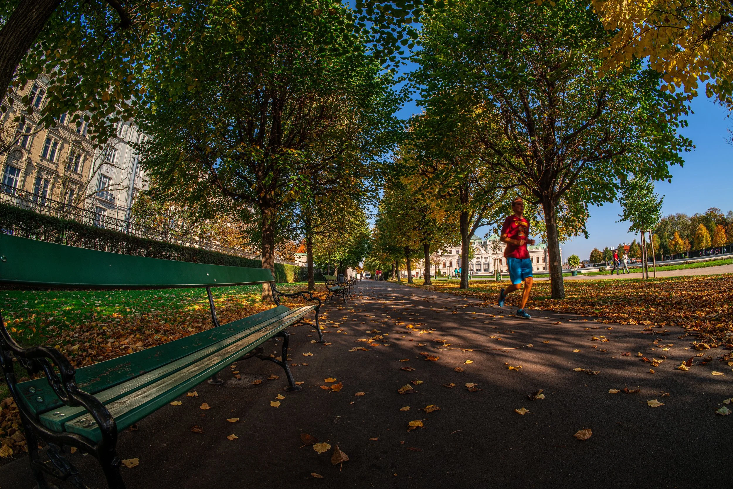 Vienna: Between benches and golden leaves, the city breathes in rhythm with its people.