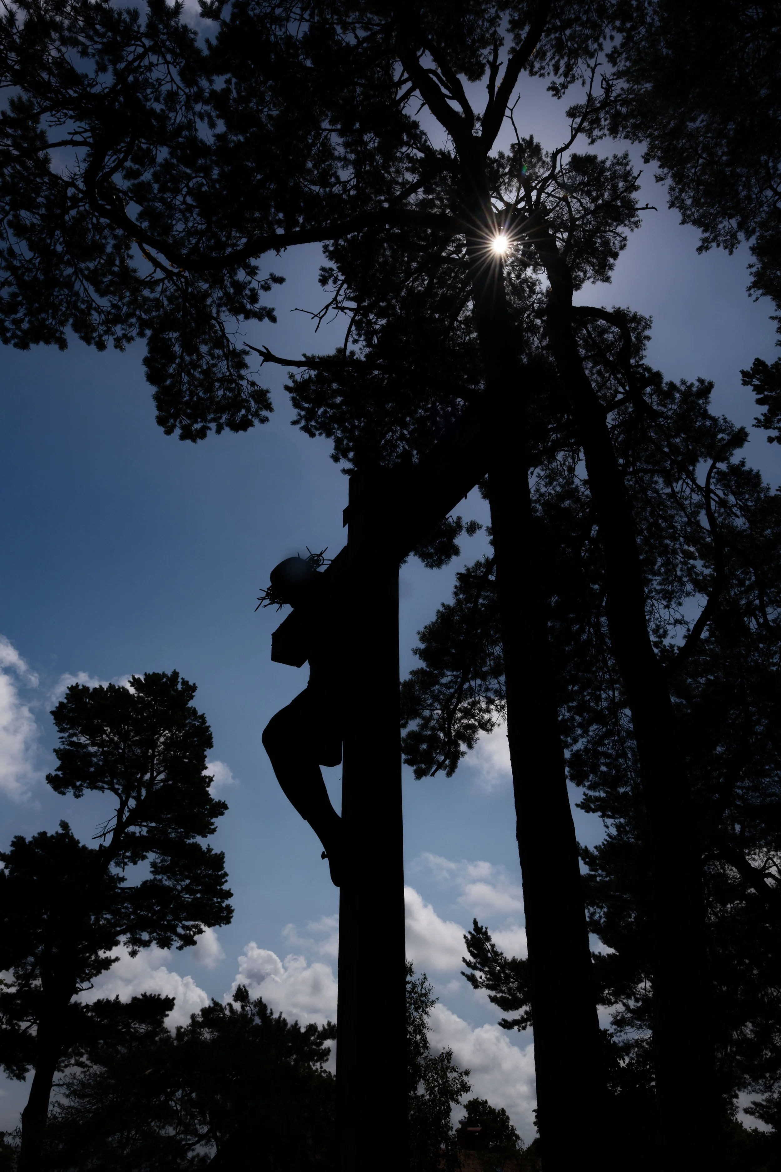 Nida: Between sky and forest, light crowns the cross with a fleeting halo.
