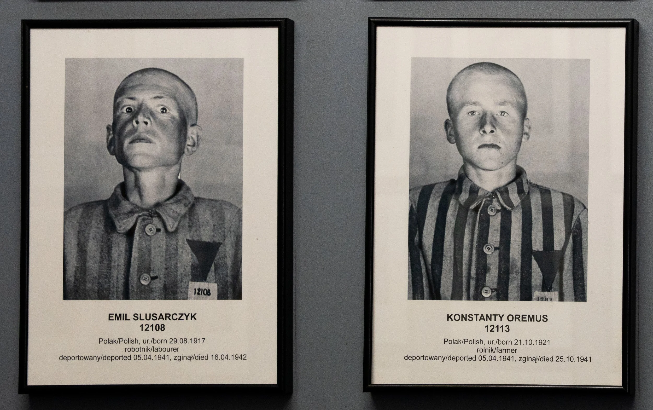 Eyes that never rest, gazes frozen before annihilation. Each portrait is a name, a story, a human being.