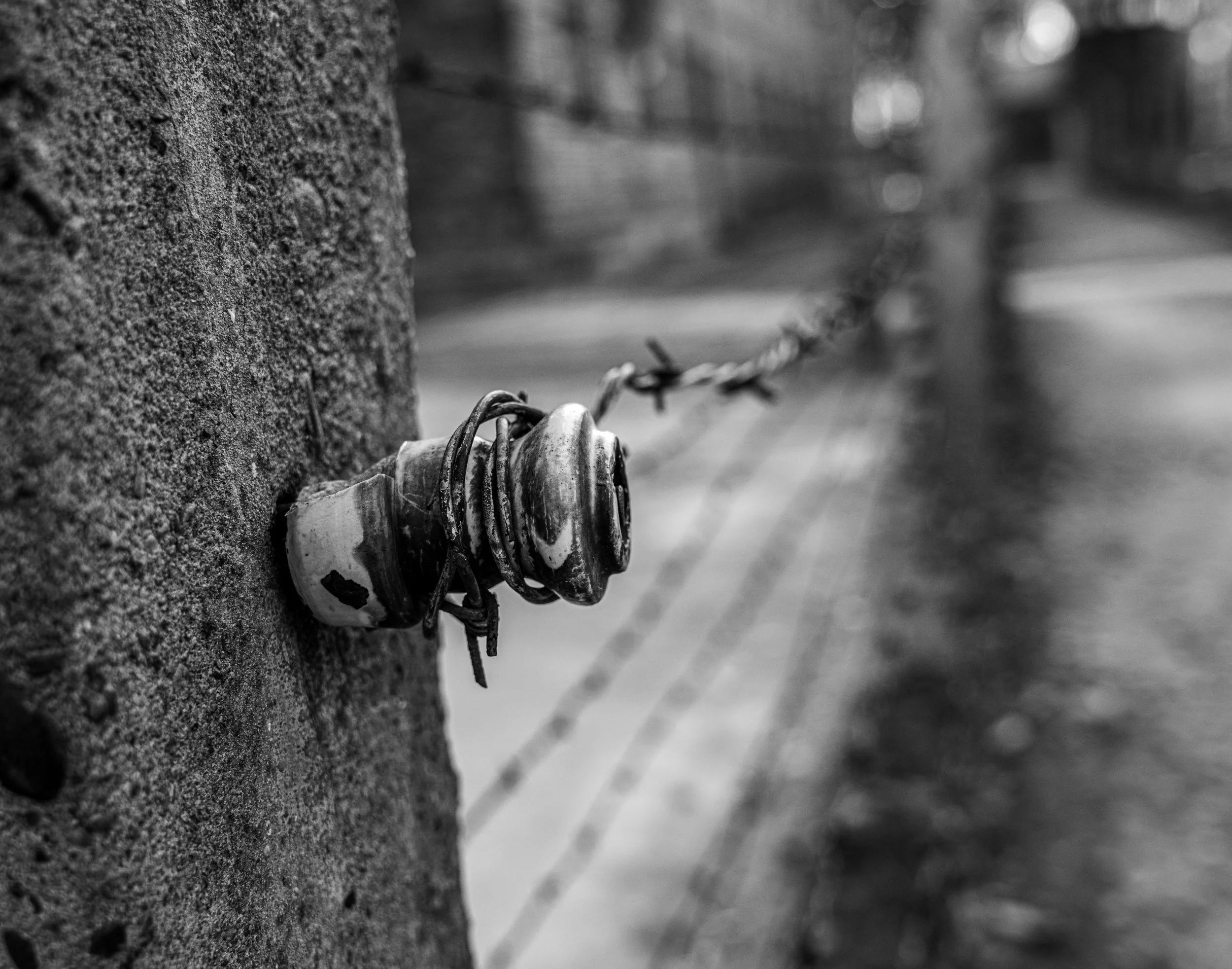 Auschwitz – Barbed lines carve wounds into history, reminding us that silence, too, can scream.