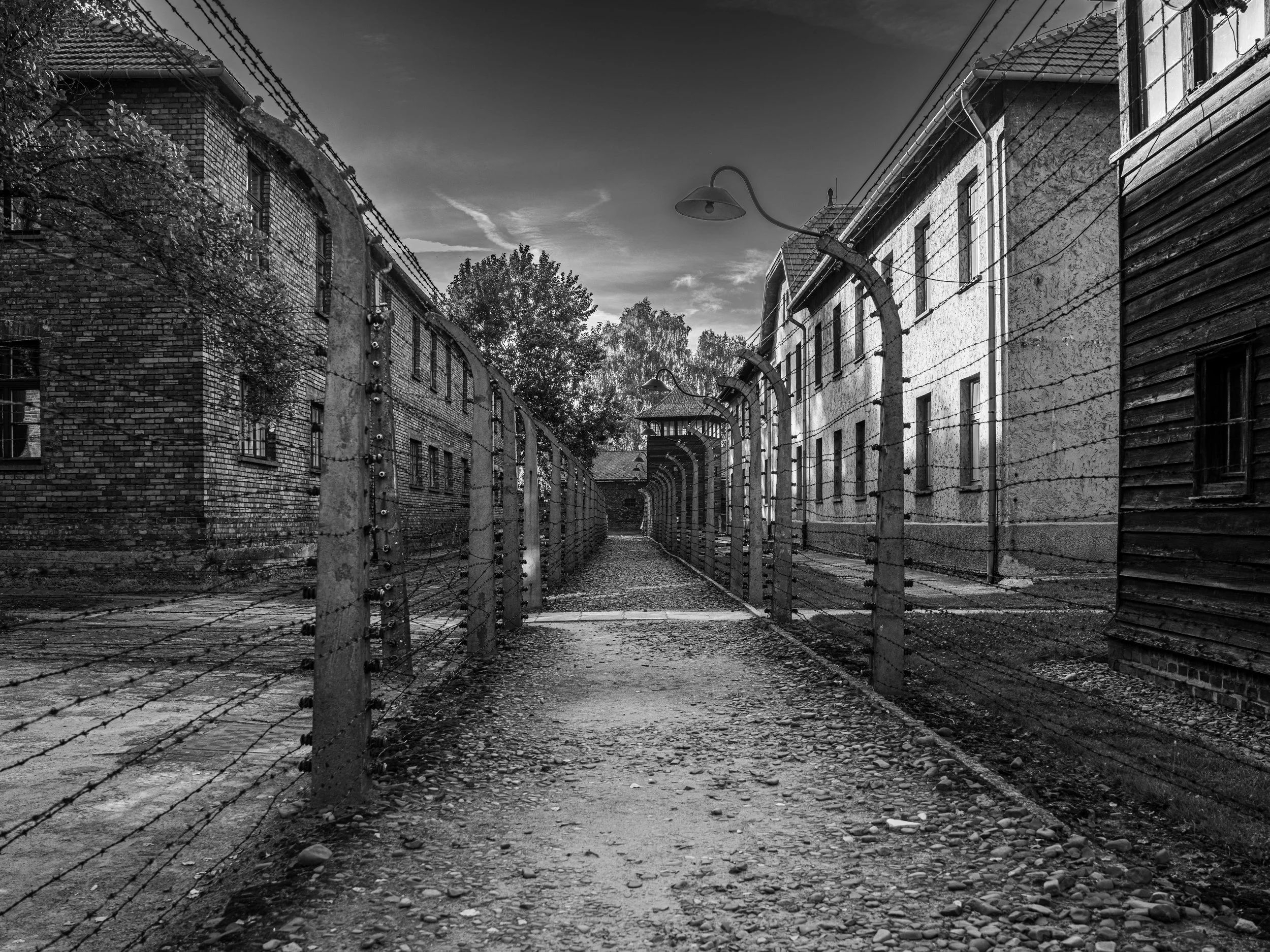 Silent walls and barbed wire still speak of suffering — a stark reminder of the price of hatred.