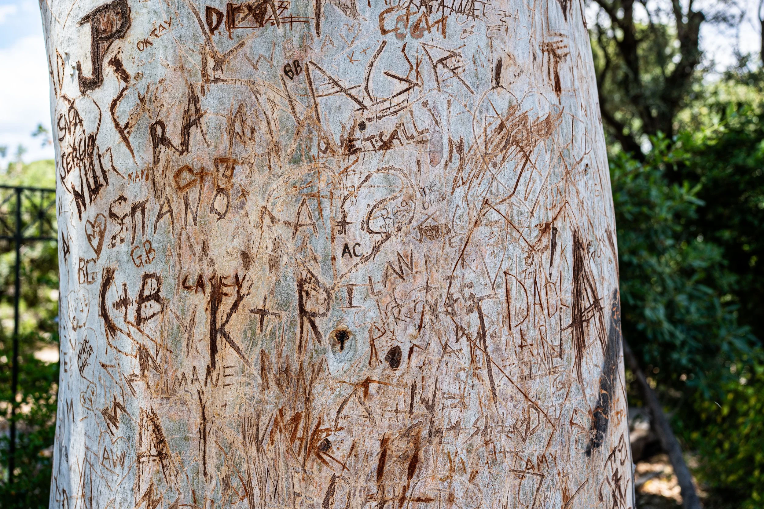 Athens – Each mark a voice, each scar a story, love and presence inscribed upon silence.
