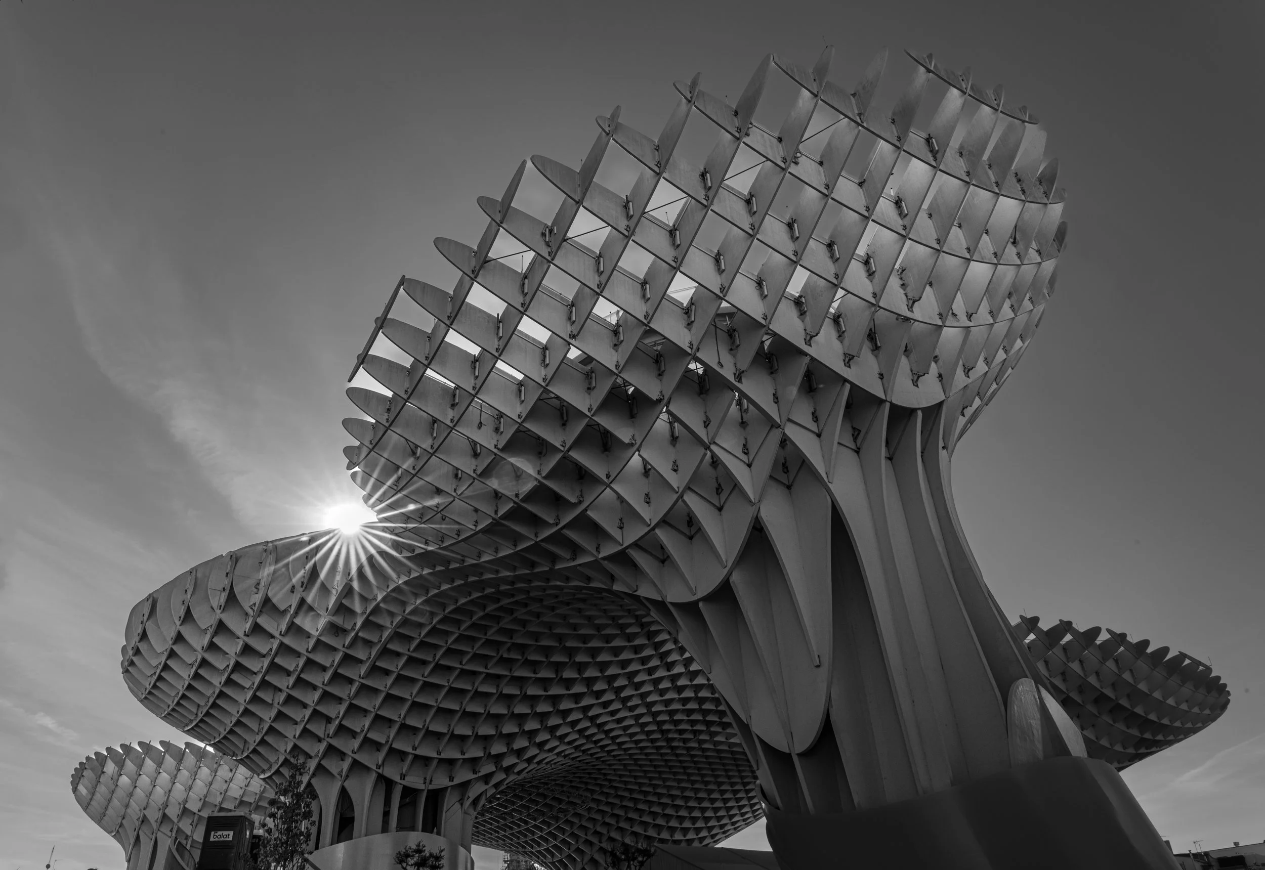 Seville: Here the city breathes upward, sculpting shade from the sun.