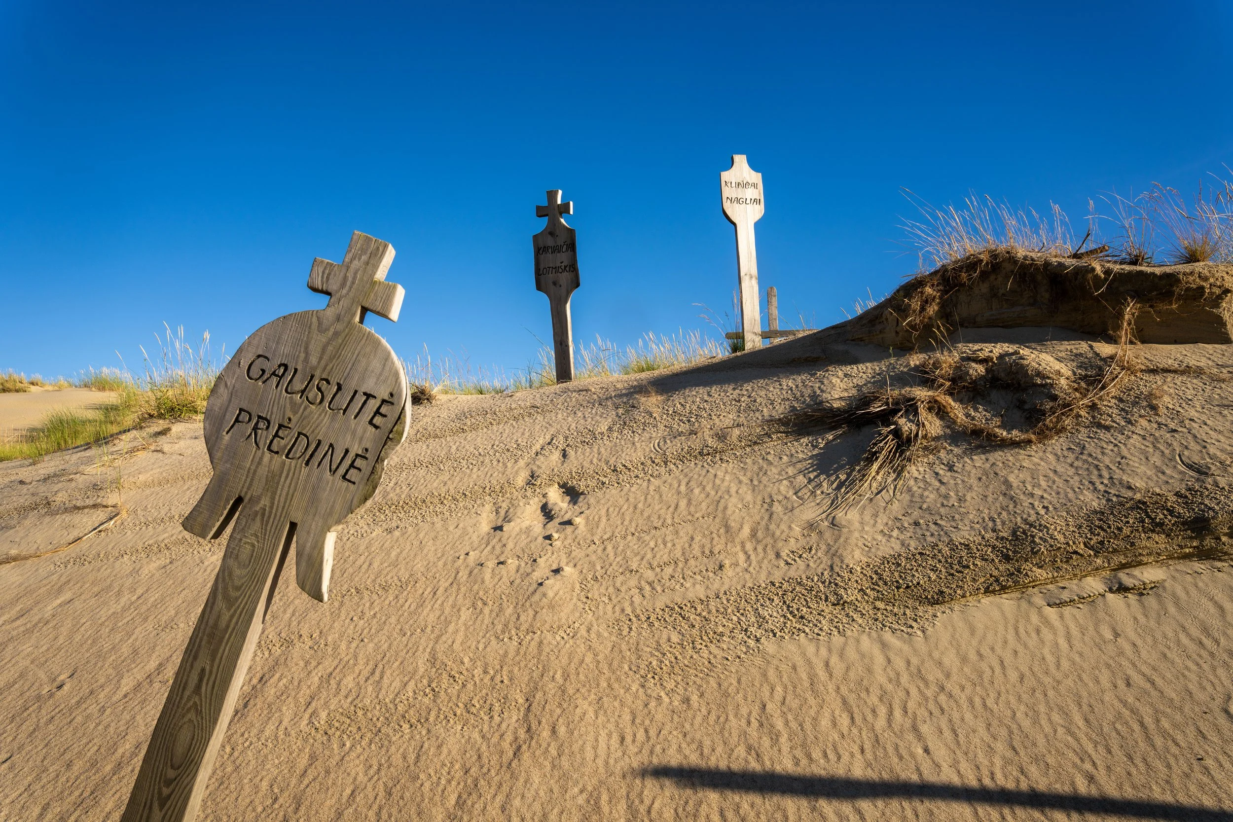 Neringa – In the desert of the Baltic, wooden crosses resist, fragile monuments of remembrance.