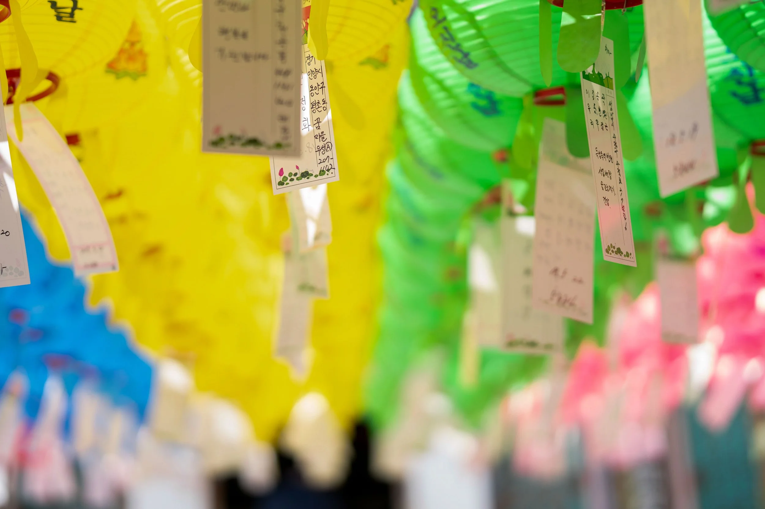 South Korea – Between yellow, green, and pink, human voices become light, transforming longing into luminous offerings.