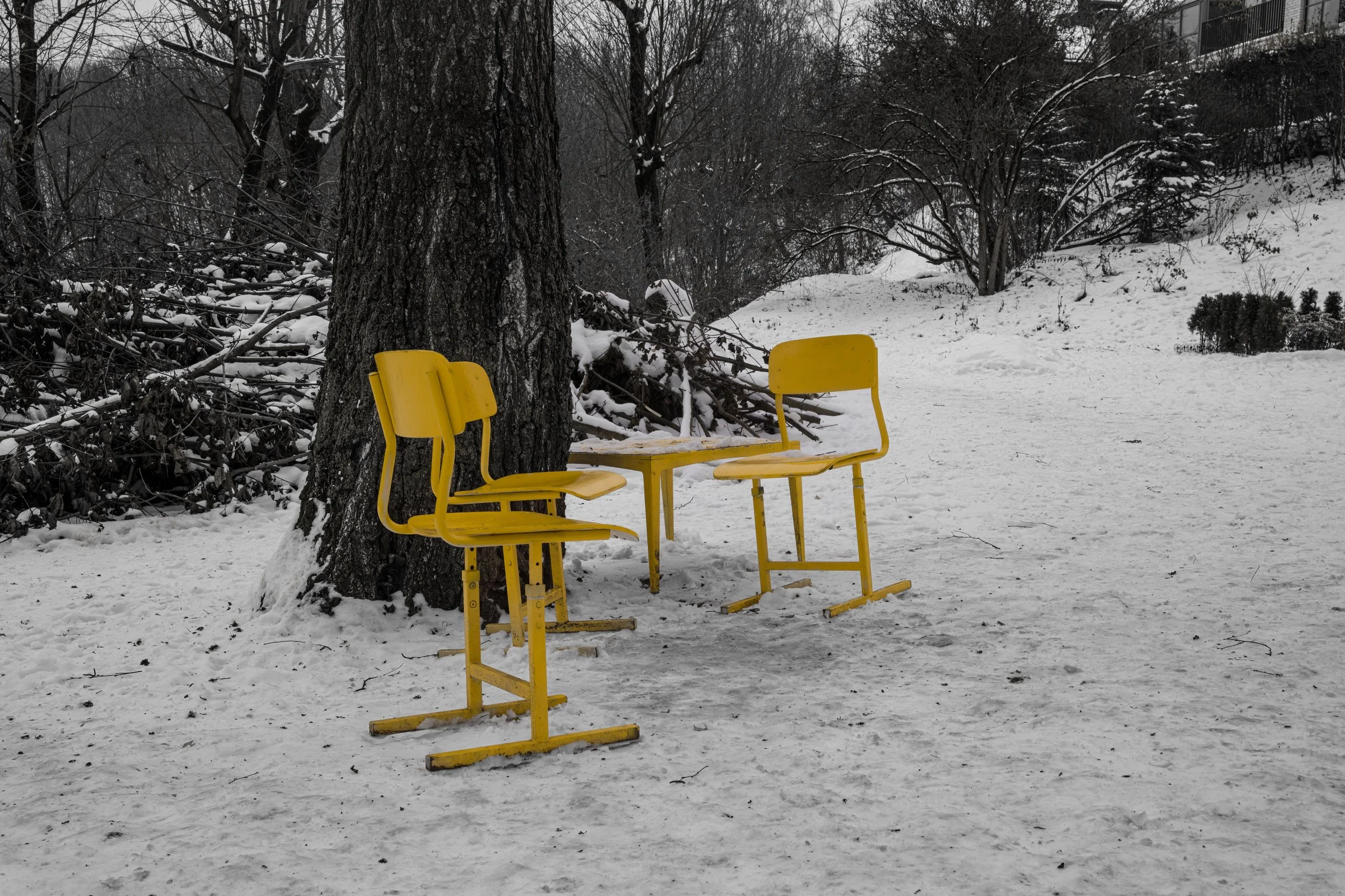 Vilnius – A splash of color against silence, waiting for stories to return with spring.