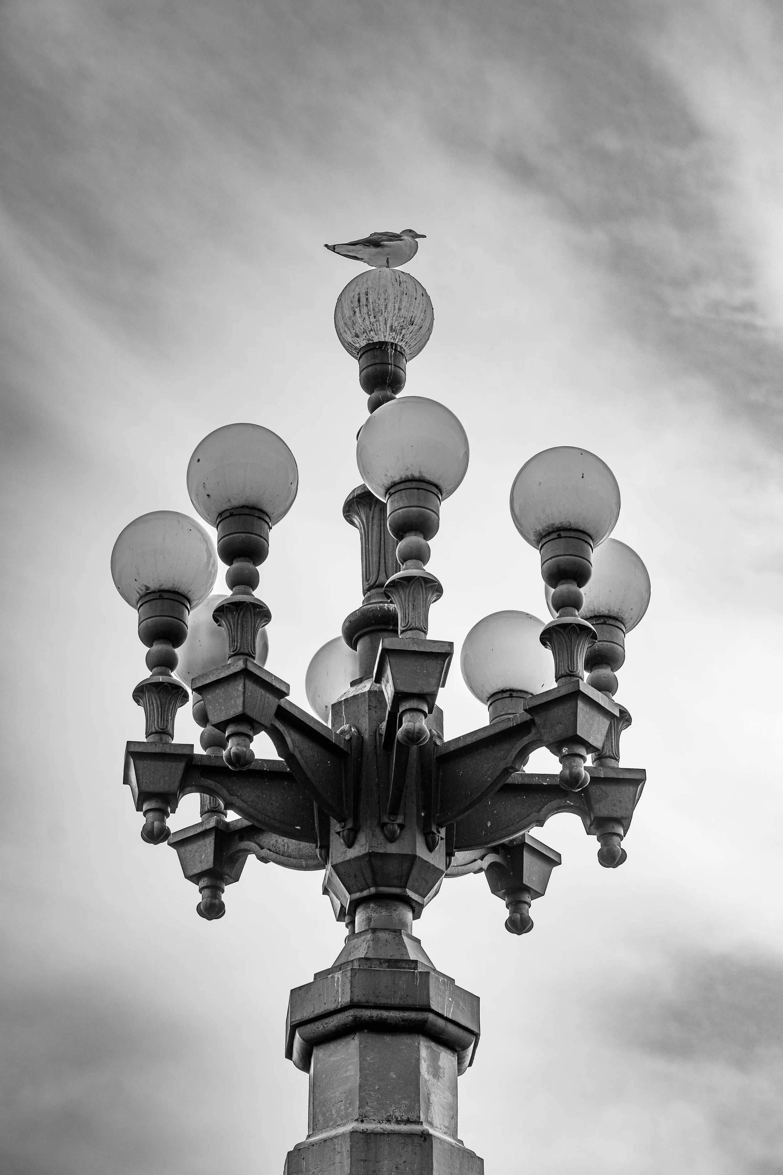 Riga – Iron and glass reach skyward, yet a bird reminds the city of freedom’s fragility.