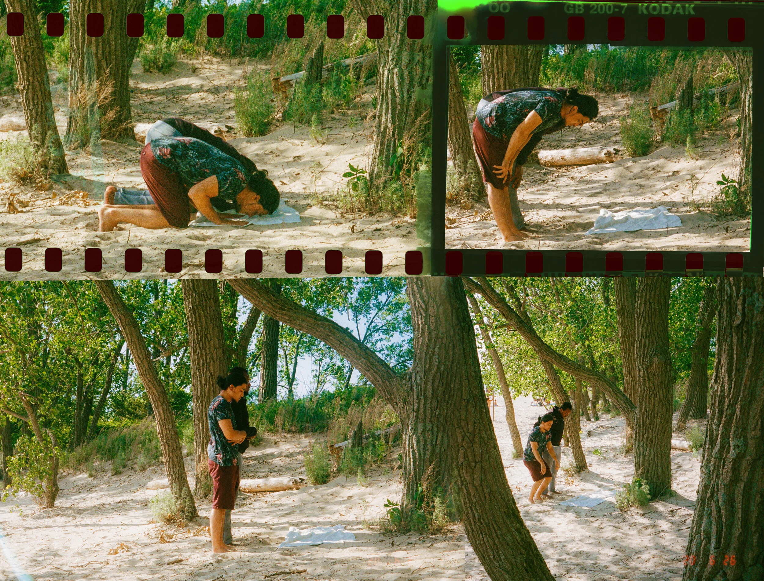 Z.log-beach day-Cached.jpg