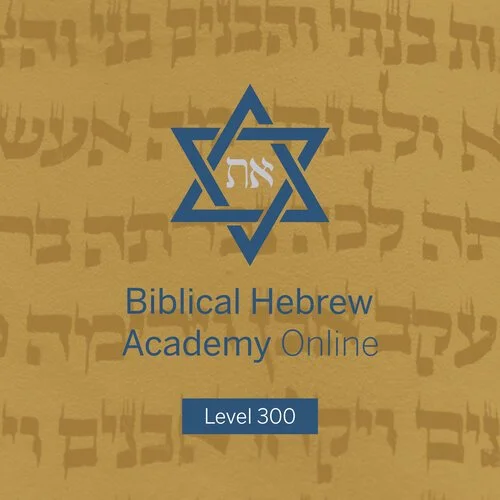 Lesson 16 - Final Lecture: Adjectives and nouns