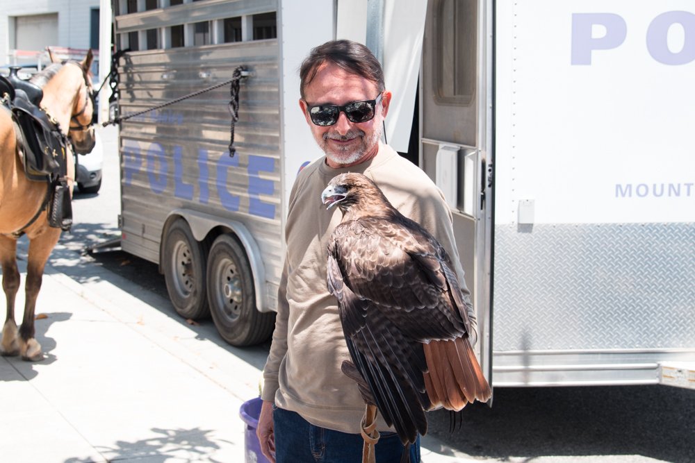 Michael Chill with a rescued Hawk (Copy) (Copy)