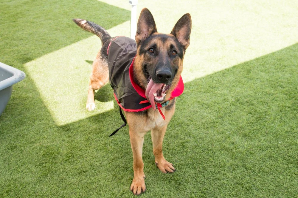 Lucas A067717