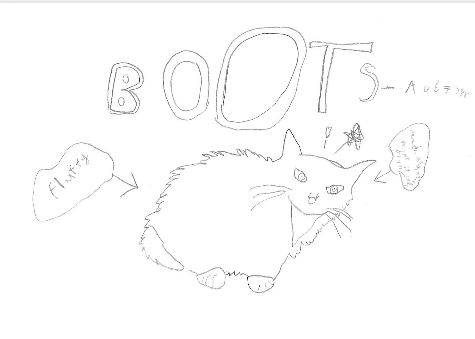 Cat Boots.jpeg