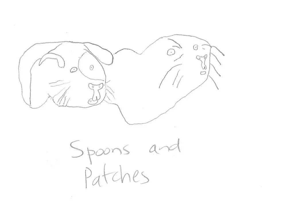Guinea Pigs Patches and Spoons.jpeg