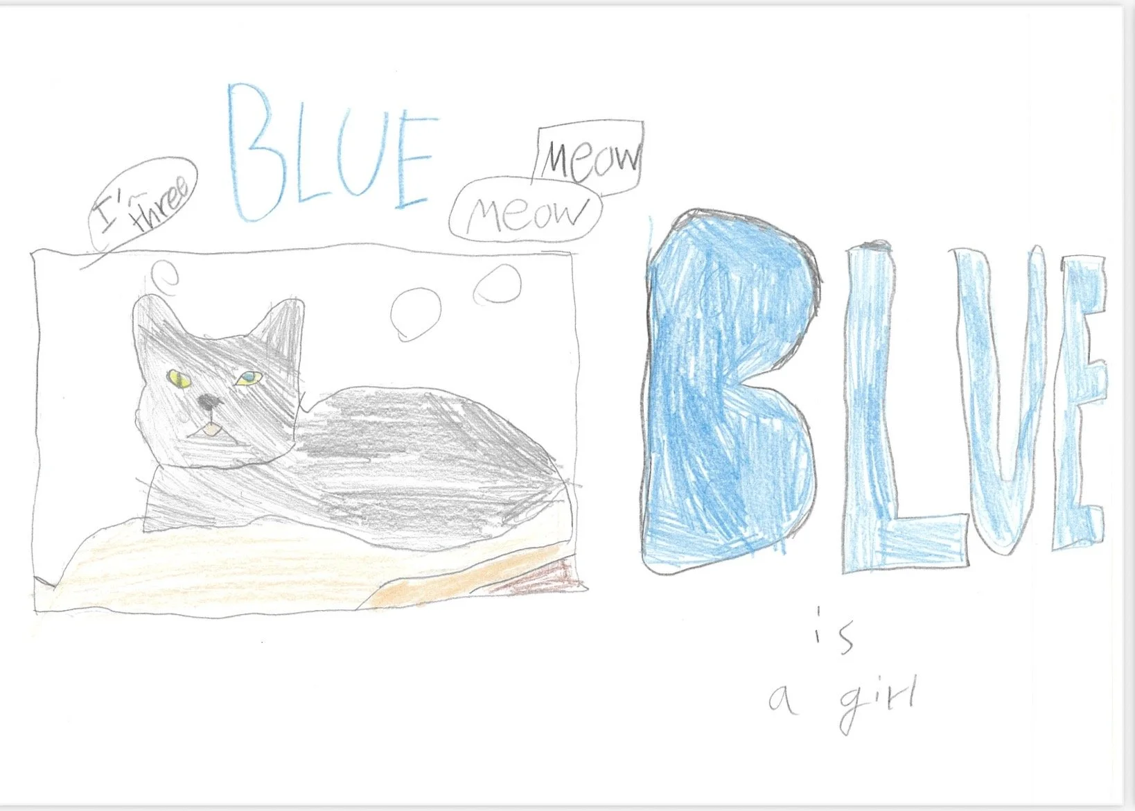 Blue Cat.jpeg