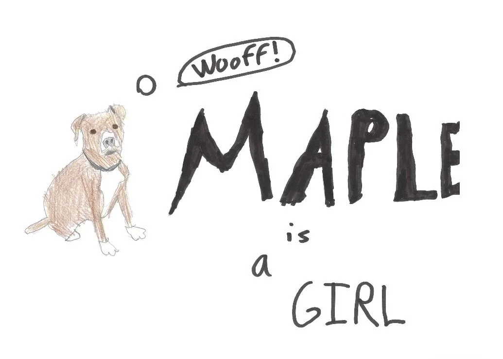 Dog Mapel.jpeg