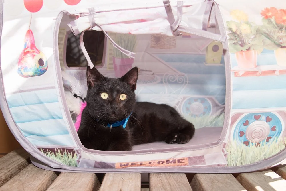 Charlie A068044-6623.jpg