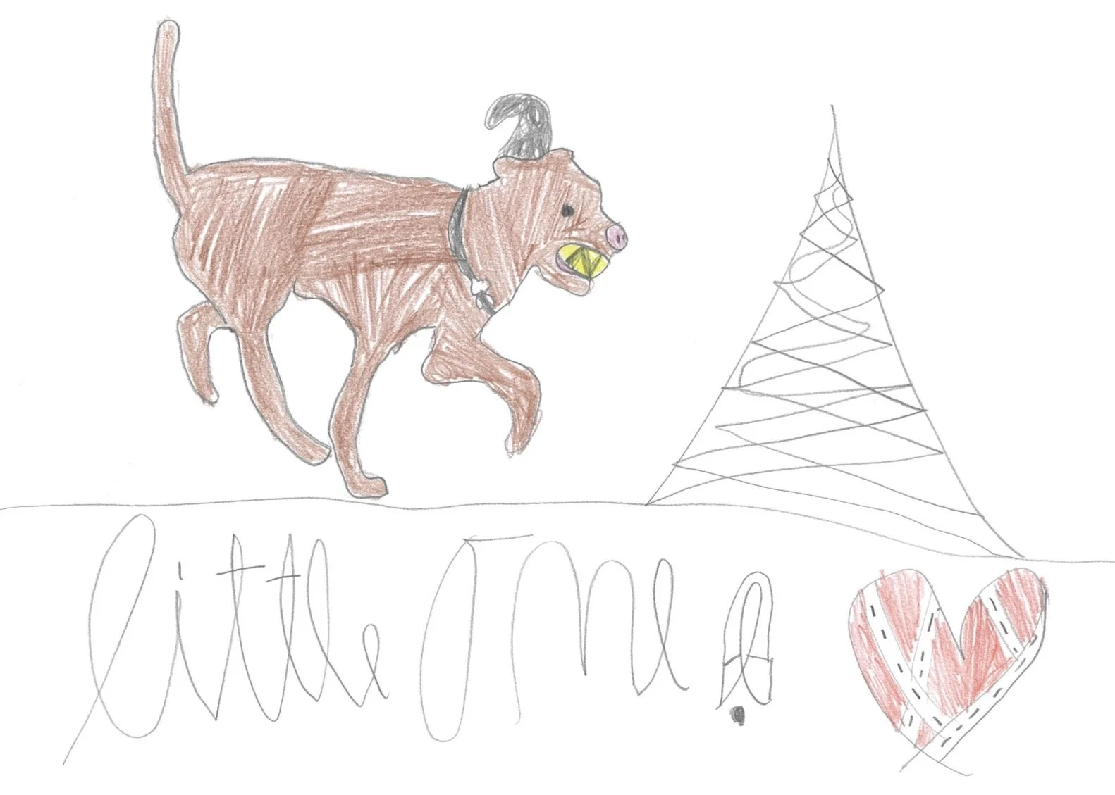 Dog Little One.jpeg