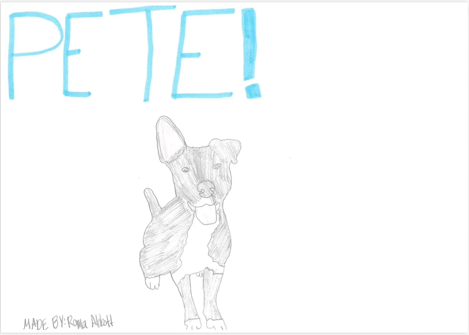 4th grader drawing of a dog named Pete