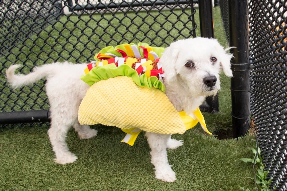 Beebee A069358 -4350.jpg
