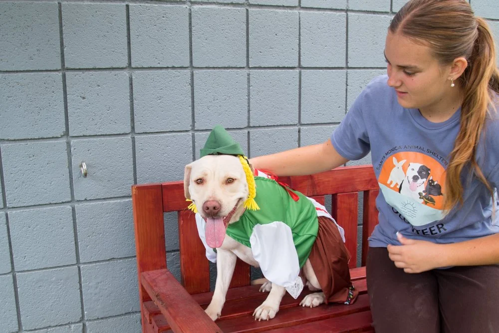 Bella A069304-4274.jpg