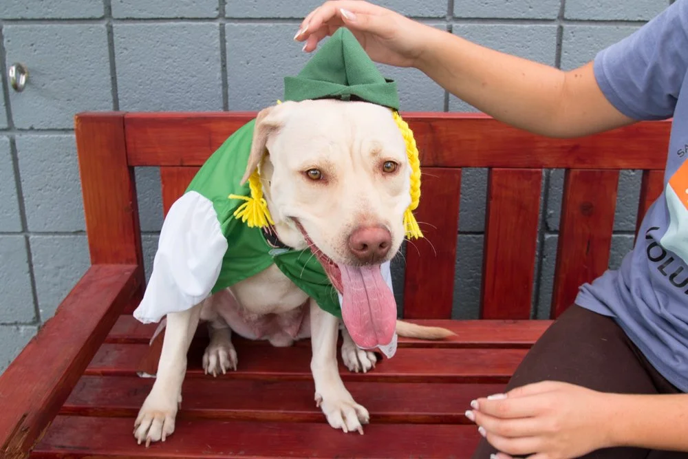 Bella A069304-4277.jpg