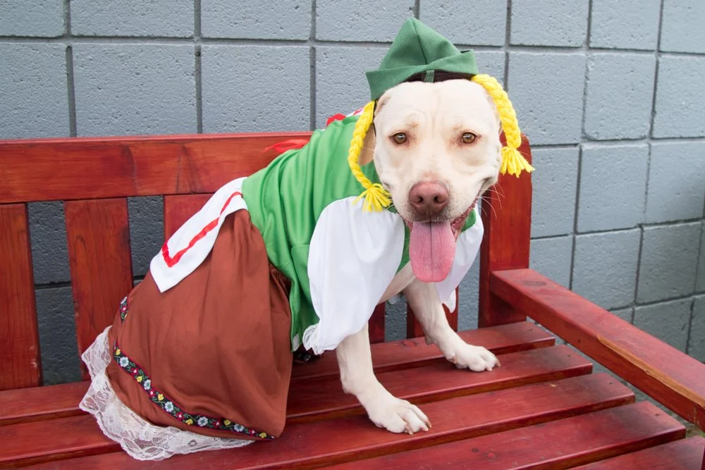 Bella A069304-4297.jpg